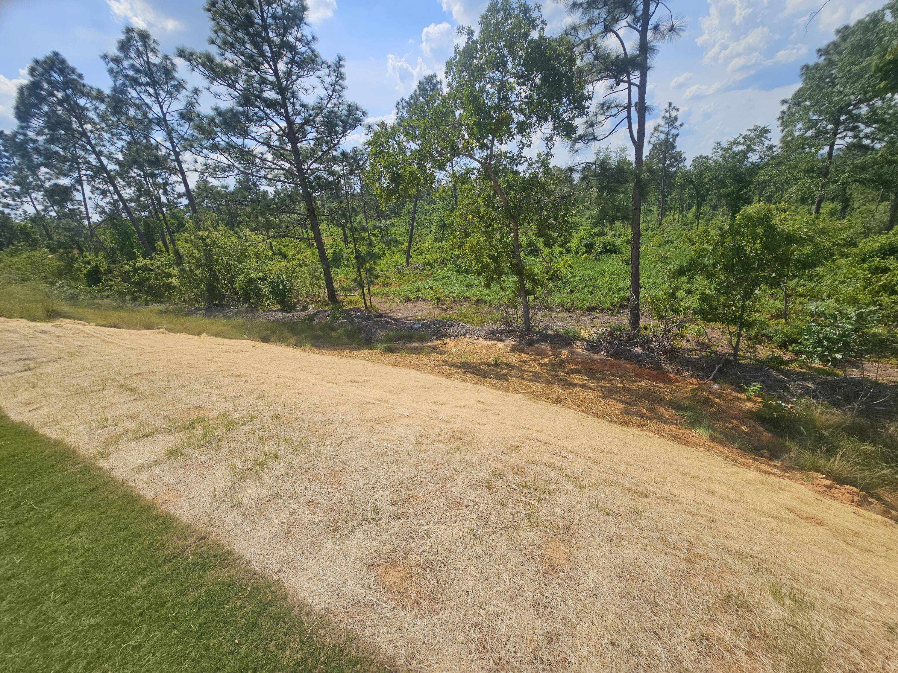 945 Tess Street Graniteville, SC 29829 - Photo 71 of 72 20250430_155604