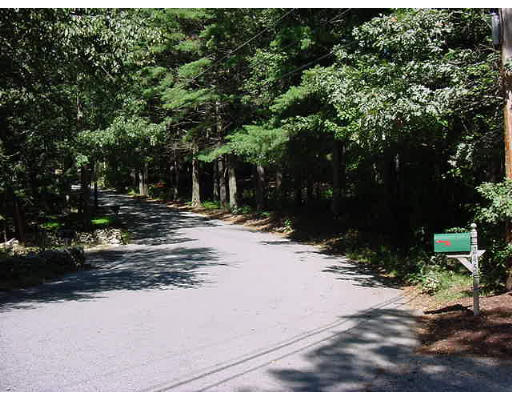 245 Benedict Road Burrillville, RI 02830 - Photo 3 of 25 a view of a yard with plants and trees