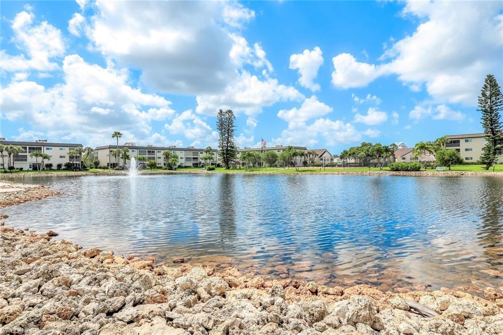 a view of a lake with a city view