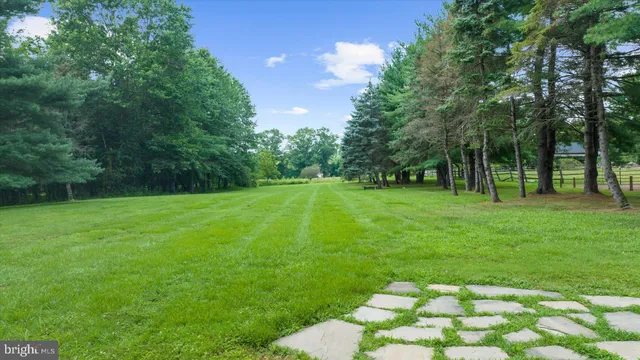a view of green field with trees in the background