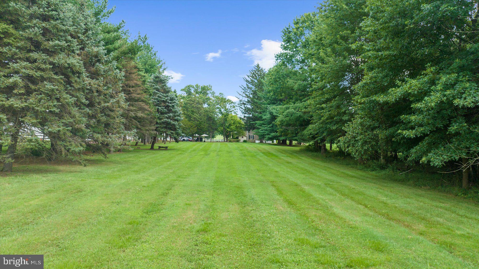 5358 York Road Doylestown, PA 18902 - Photo 8 of 61 a view of green field with trees in the background