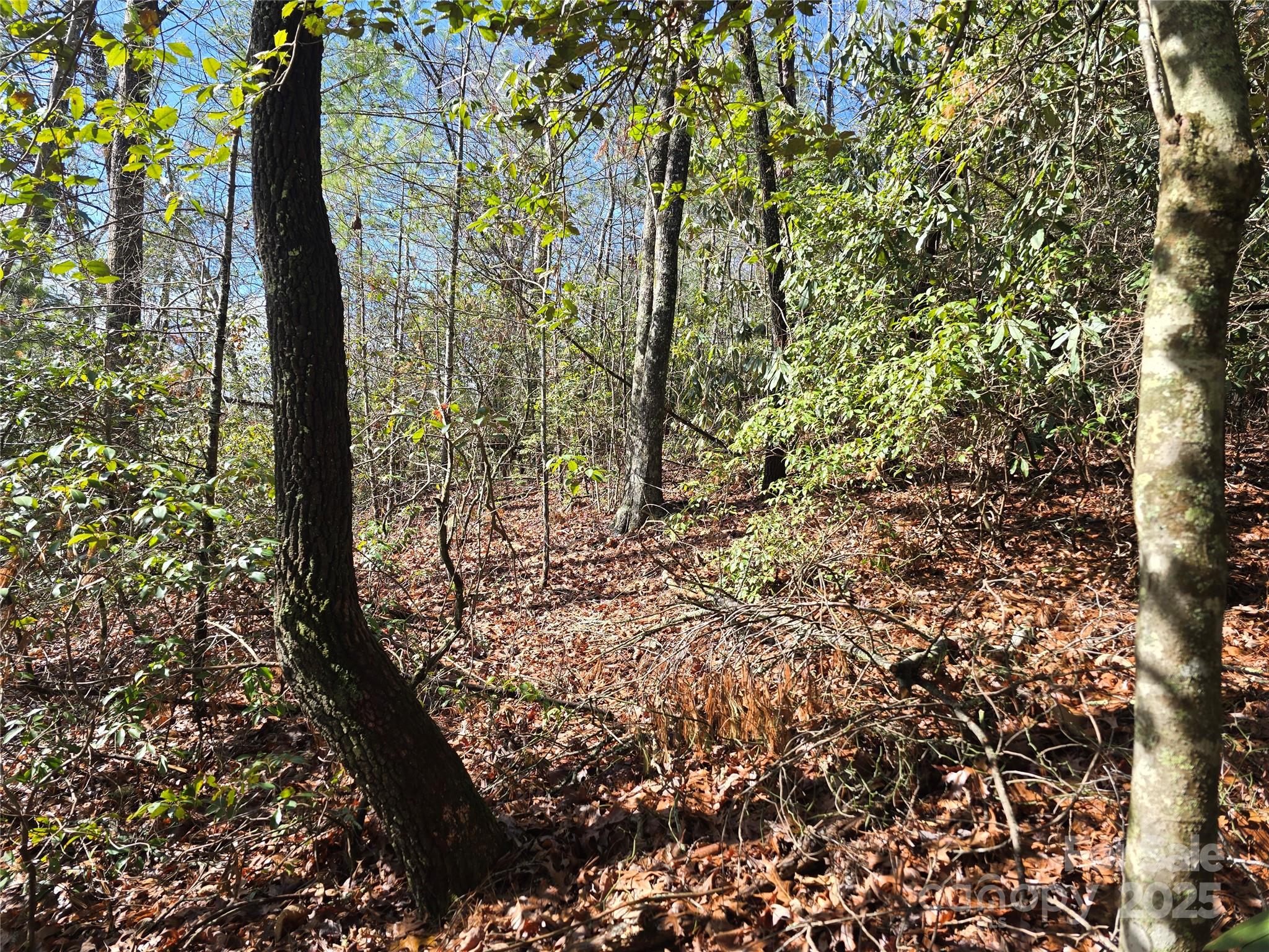 6490 Globe Road Lenoir, NC 28645 - Photo 41 of 48