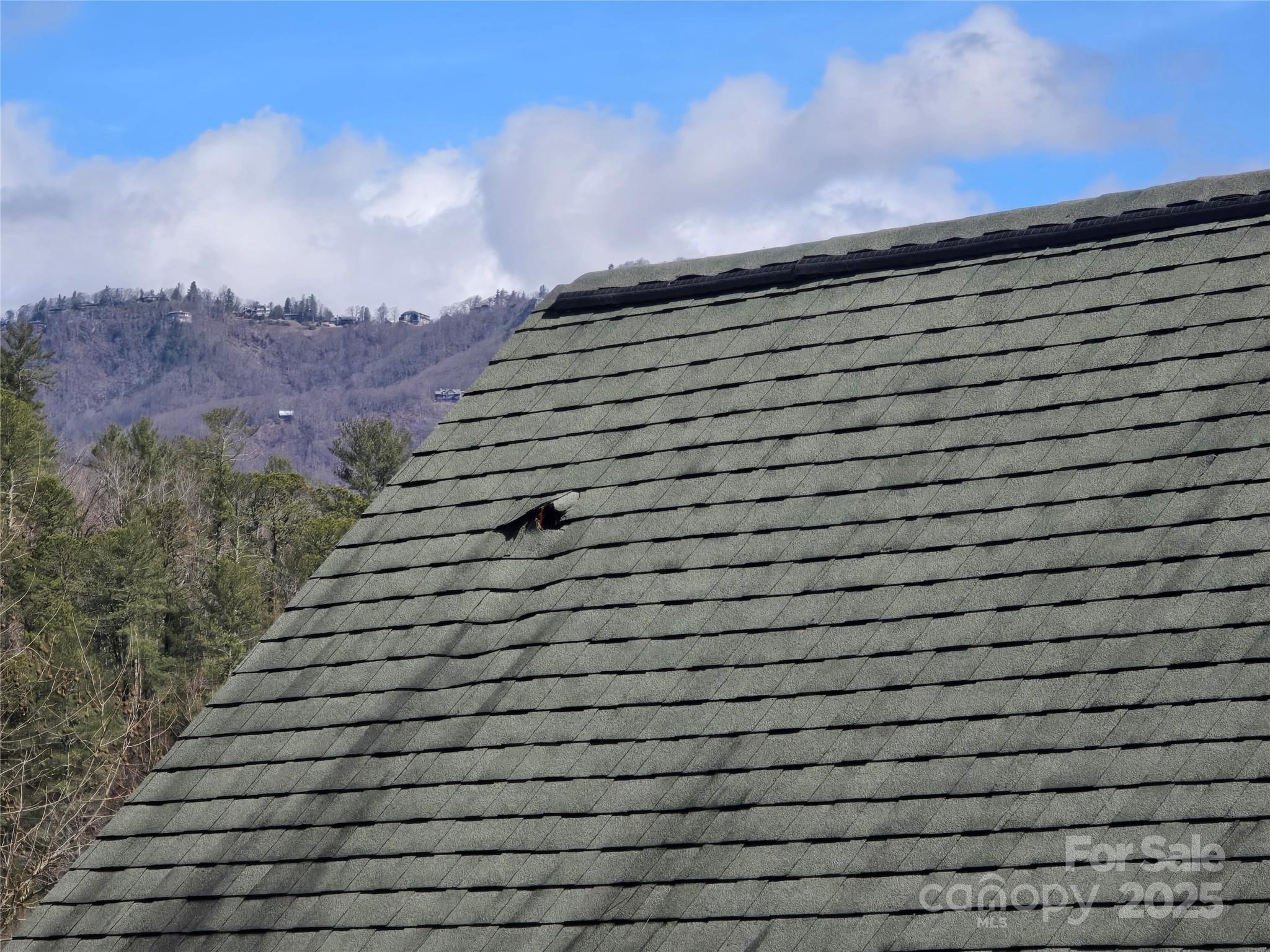 6490 Globe Road Lenoir, NC 28645 - Photo 42 of 48