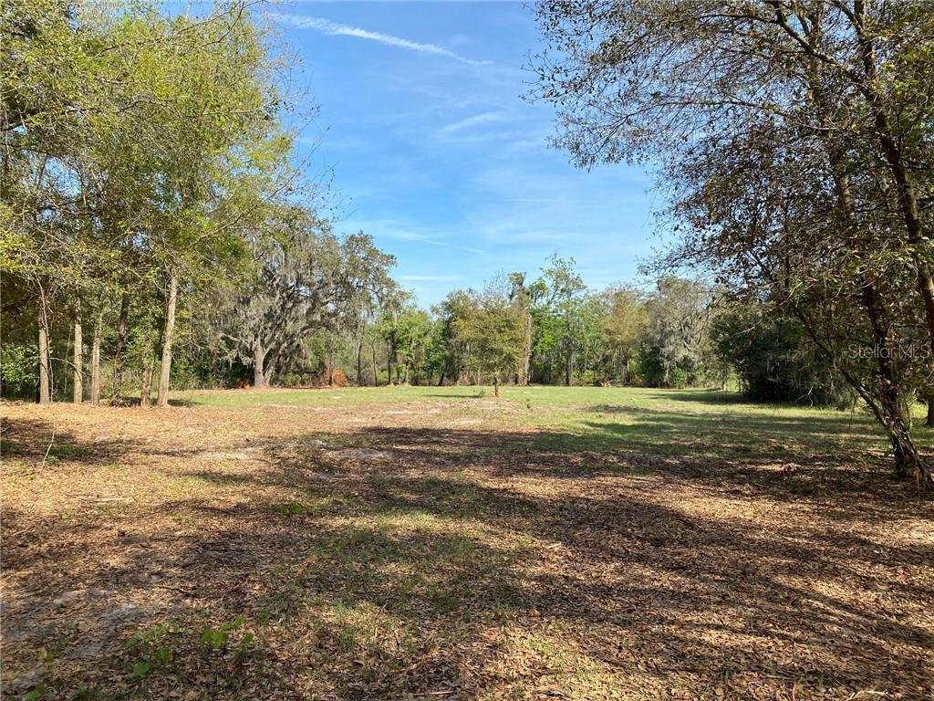 0 North Socrum Loop Road North Lakeland, FL 33809 - Photo 1 of 1