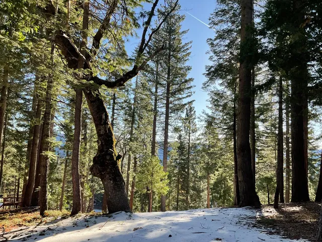 $119,000 | 5186 Meko Drive, Arnold, CA 95223