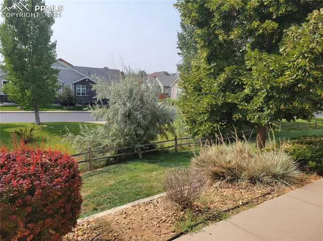 a view of a backyard with plants and a lake view
