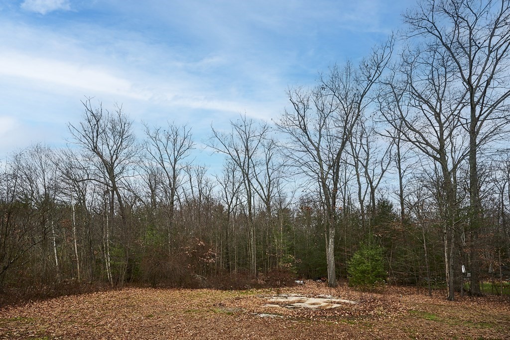 75 Pomeroy Meadow Road Southampton, MA 01073 - Photo 31 of 36 a view of outdoor space and yard