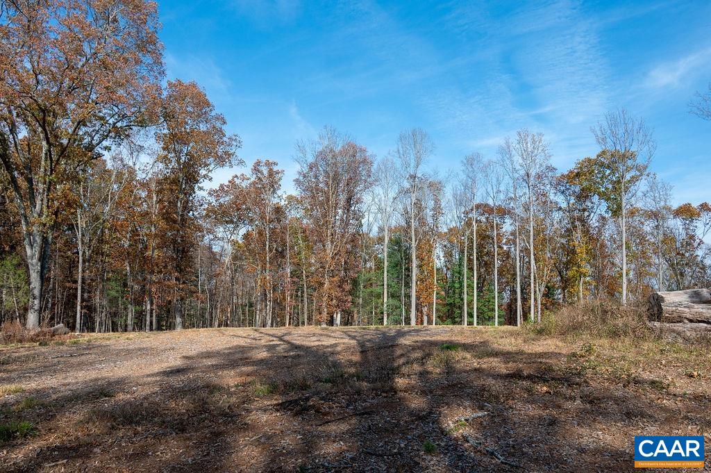 Tbd Red Hill Road Charlottesville, VA 22903 - Photo 16 of 50 a view of outdoor space and tree
