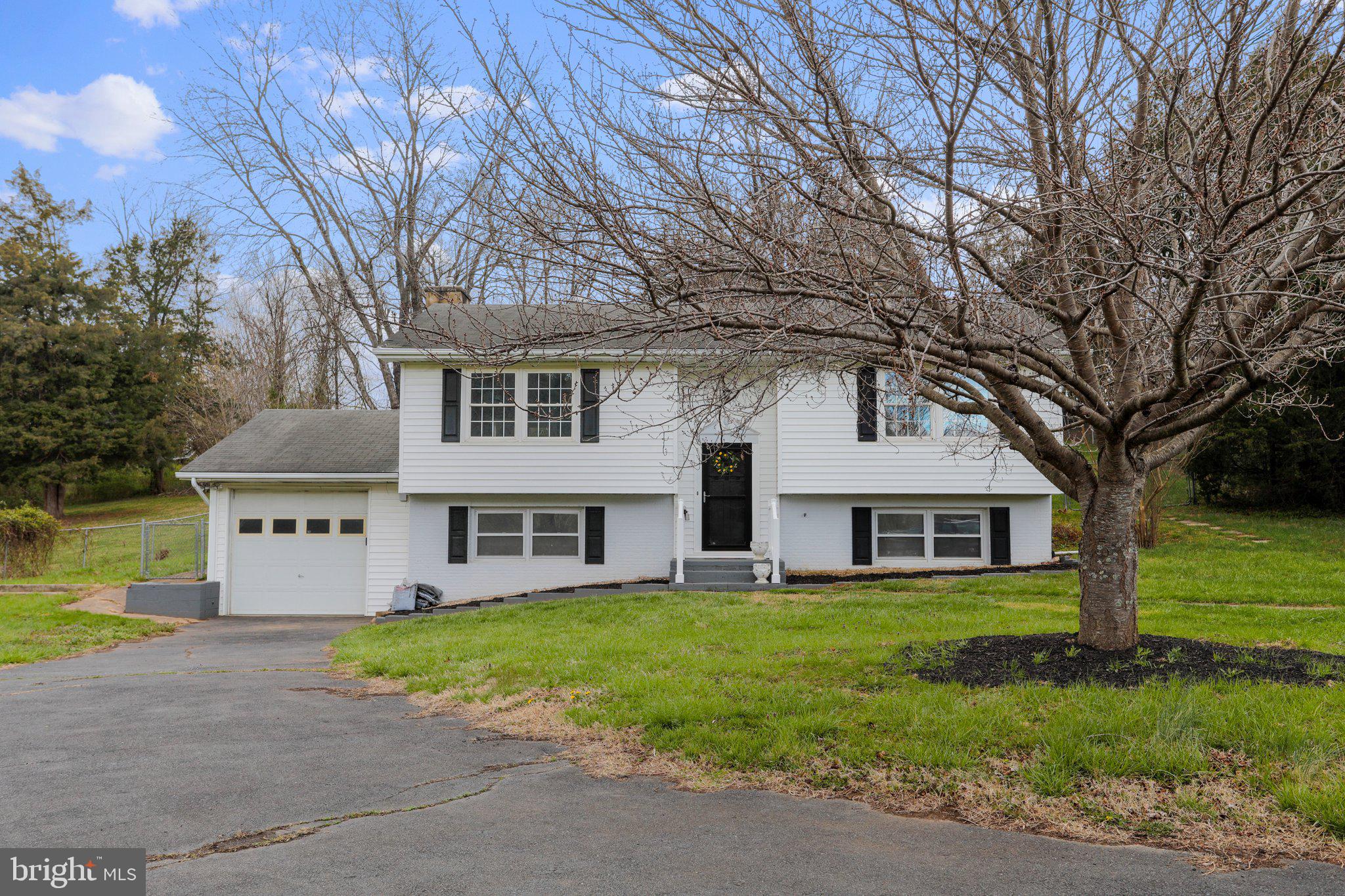 3153 Howellsville Road Front Royal, VA 22630 - Photo 5 of 43 Gorgeous Pink Blossoms coming Soon!
