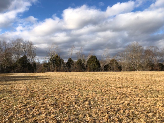 1 Butler Bridge Road Portland, TN 37148 - Photo 1 of 24 a view of an ocean