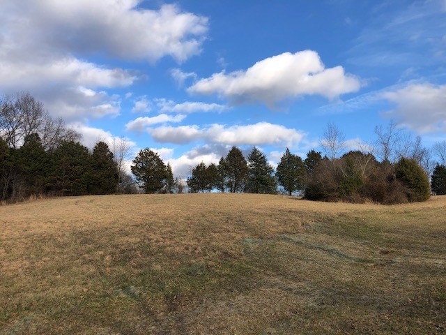 1 Butler Bridge Road Portland, TN 37148 - Photo 3 of 24 a view of outdoor space and yard