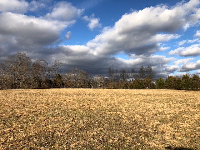 1 Butler Bridge Road Portland, TN 37148 - Photo 4 of 24 a view of an ocean beach