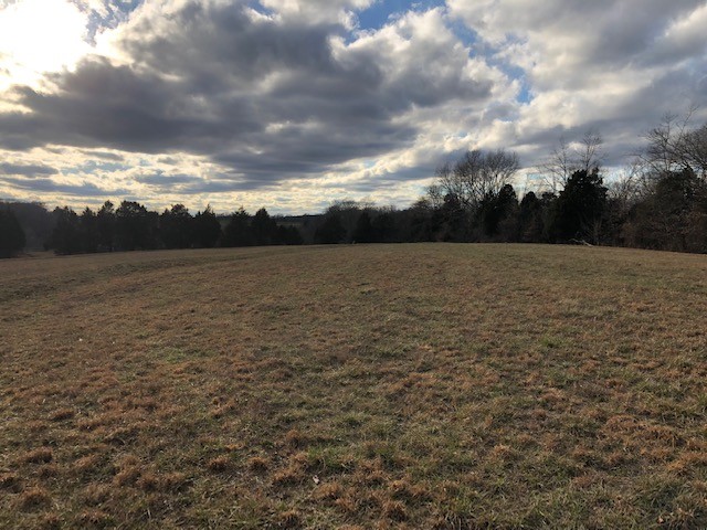 1 Butler Bridge Road Portland, TN 37148 - Photo 5 of 24