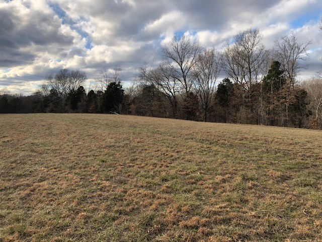1 Butler Bridge Road Portland, TN 37148 - Photo 6 of 24 a view of patio with yard