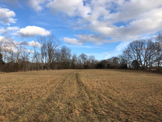 1 Butler Bridge Road Portland, TN 37148 - Photo 7 of 24 a view of patio and yard
