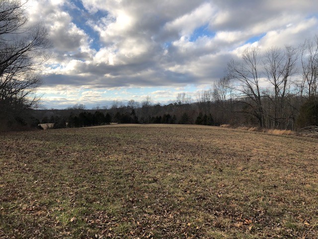 1 Butler Bridge Road Portland, TN 37148 - Photo 8 of 24 a backyard of a house