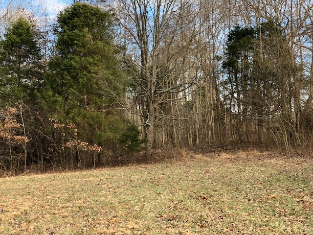 1 Butler Bridge Road Portland, TN 37148 - Photo 9 of 24 a view of wooden fence