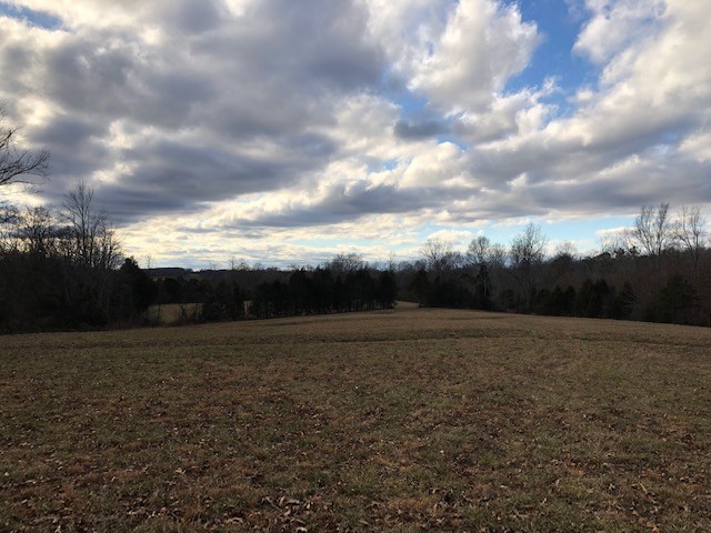1 Butler Bridge Road Portland, TN 37148 - Photo 10 of 24 a view of outdoor space and yard