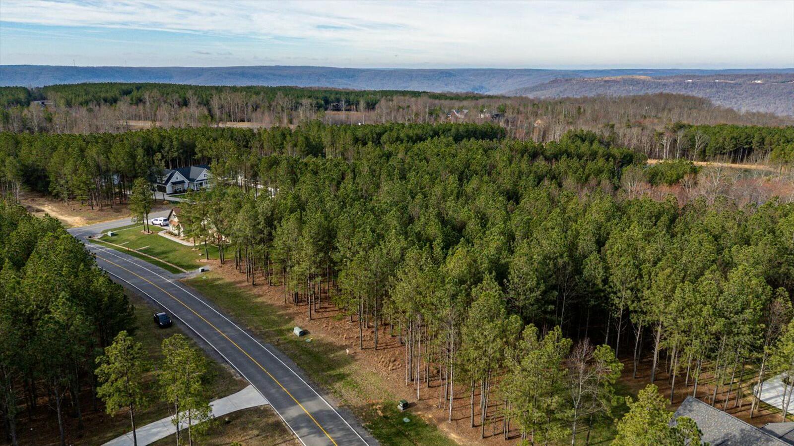 309 Crockett Pointe Sequatchie, TN 37374 - Photo 13 of 30 tempImageNF2pcP