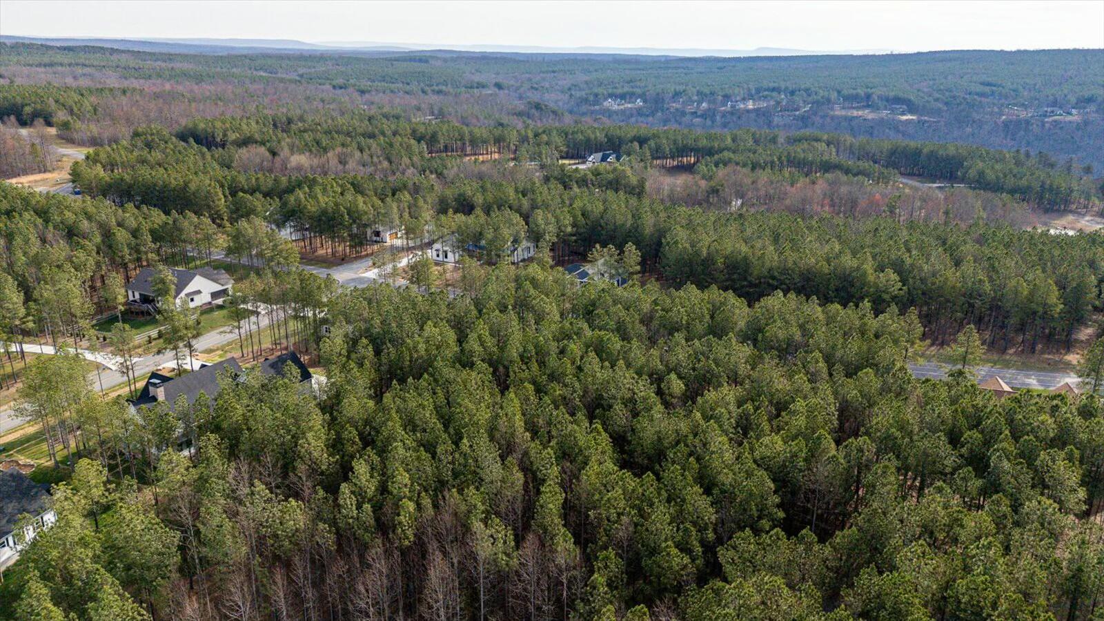 309 Crockett Pointe Sequatchie, TN 37374 - Photo 16 of 30 tempImageyQBbCZ