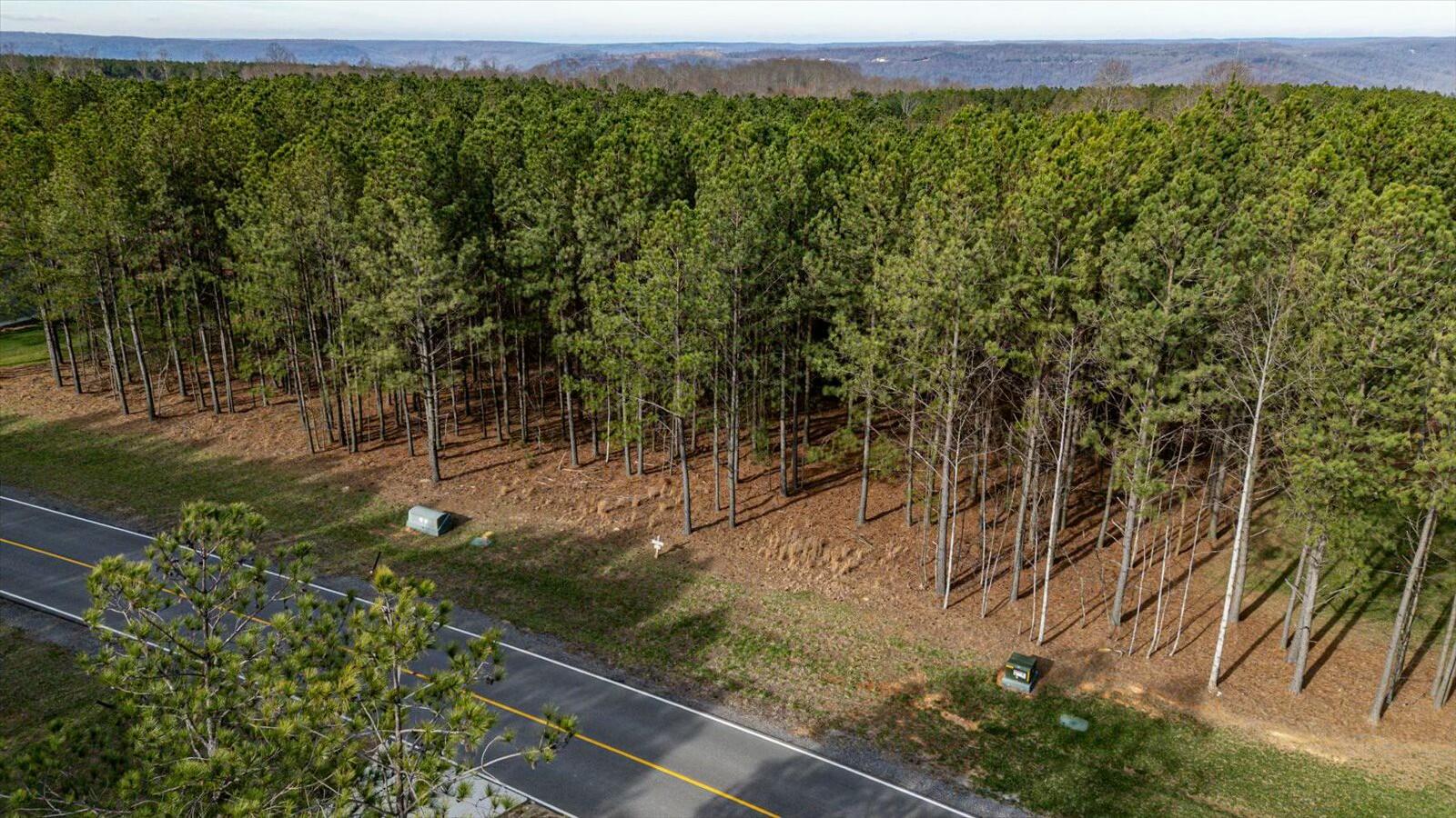 309 Crockett Pointe Sequatchie, TN 37374 - Photo 8 of 30 tempImagepeHxXs