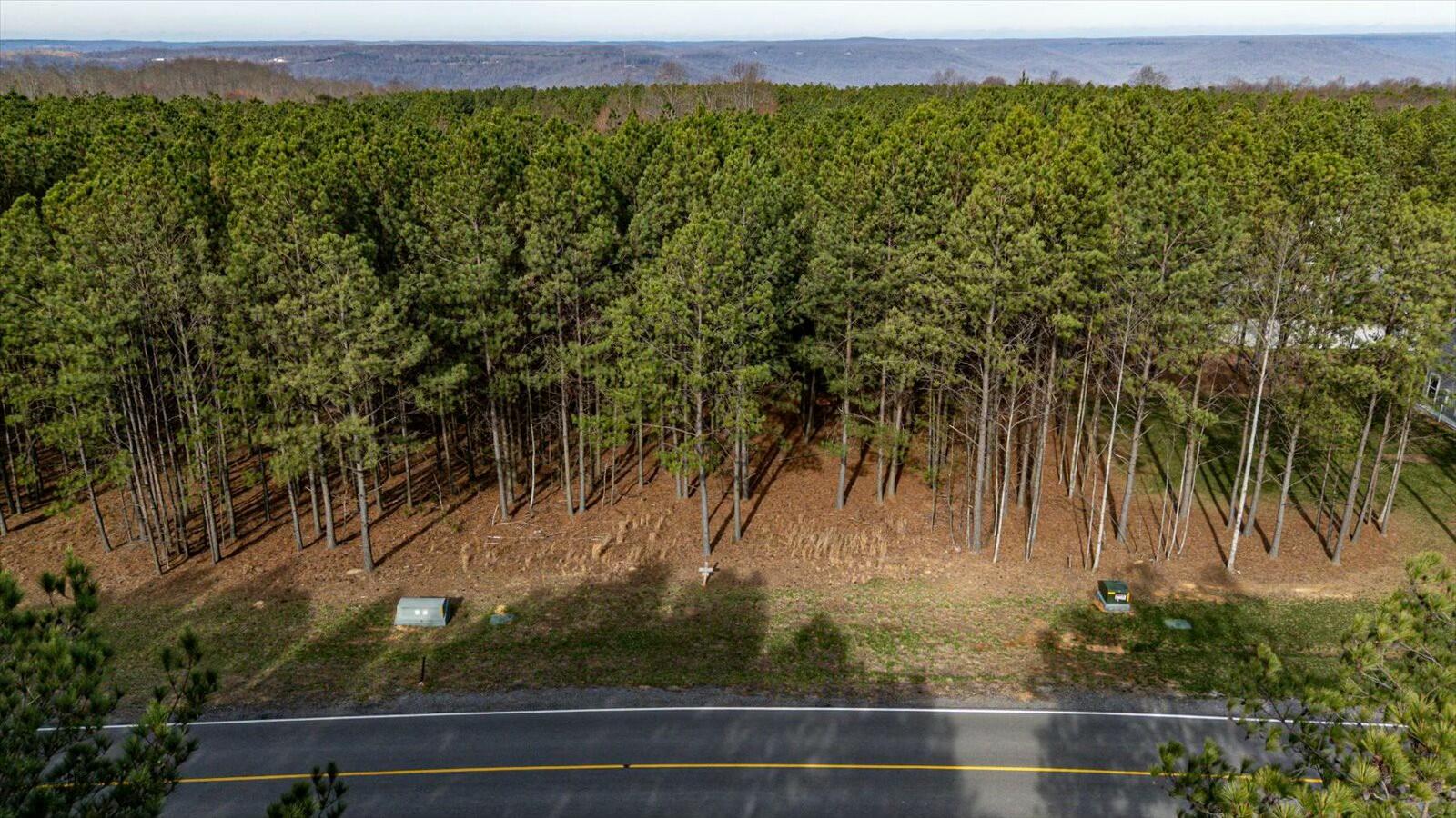 309 Crockett Pointe Sequatchie, TN 37374 - Photo 9 of 30 tempImageVTbdM3