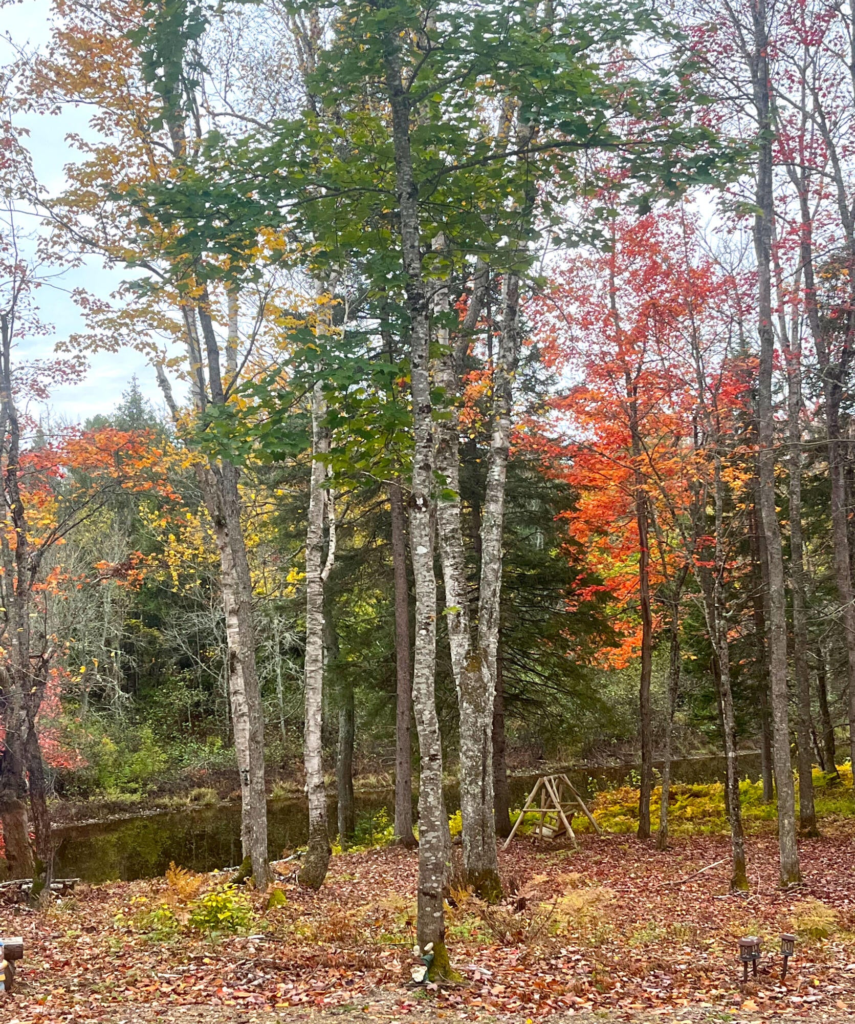 4800 South North Hulbert Road Eckerman, MI 49728 - Photo 4 of 40 Gallery Image 4