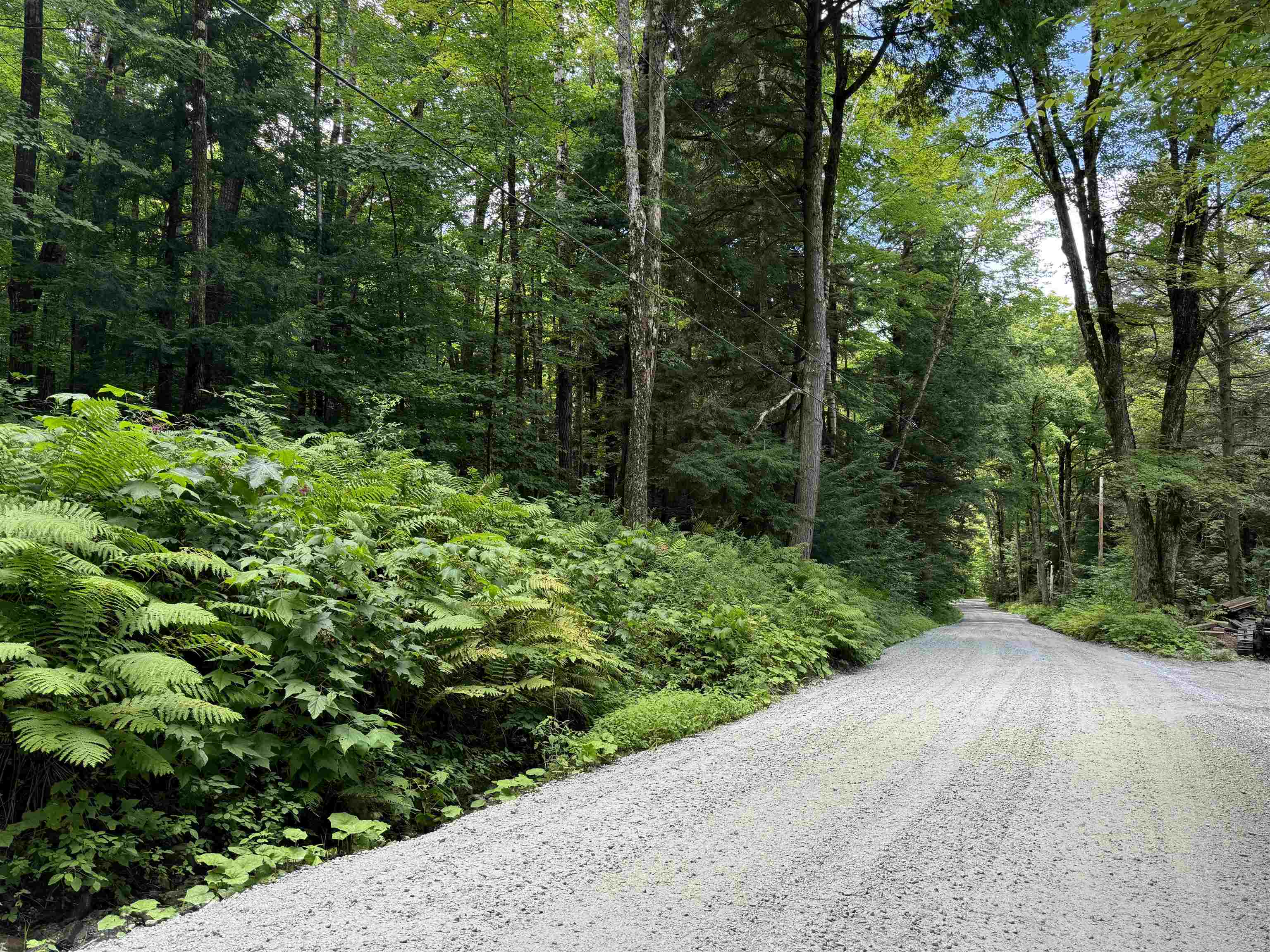 176 Button Hill Road Shrewsbury, VT 05738 - Photo 3 of 12