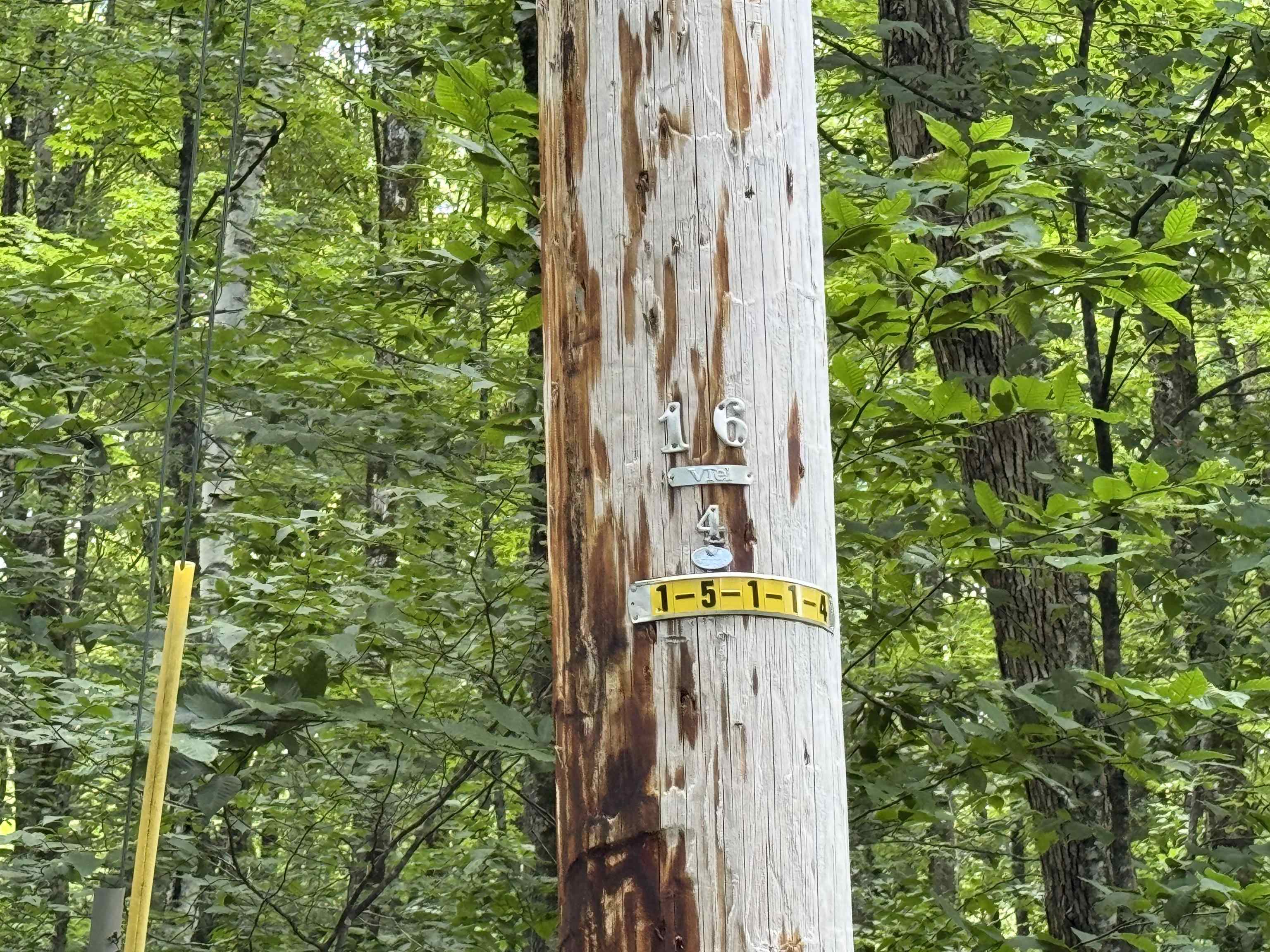 176 Button Hill Road Shrewsbury, VT 05738 - Photo 6 of 12