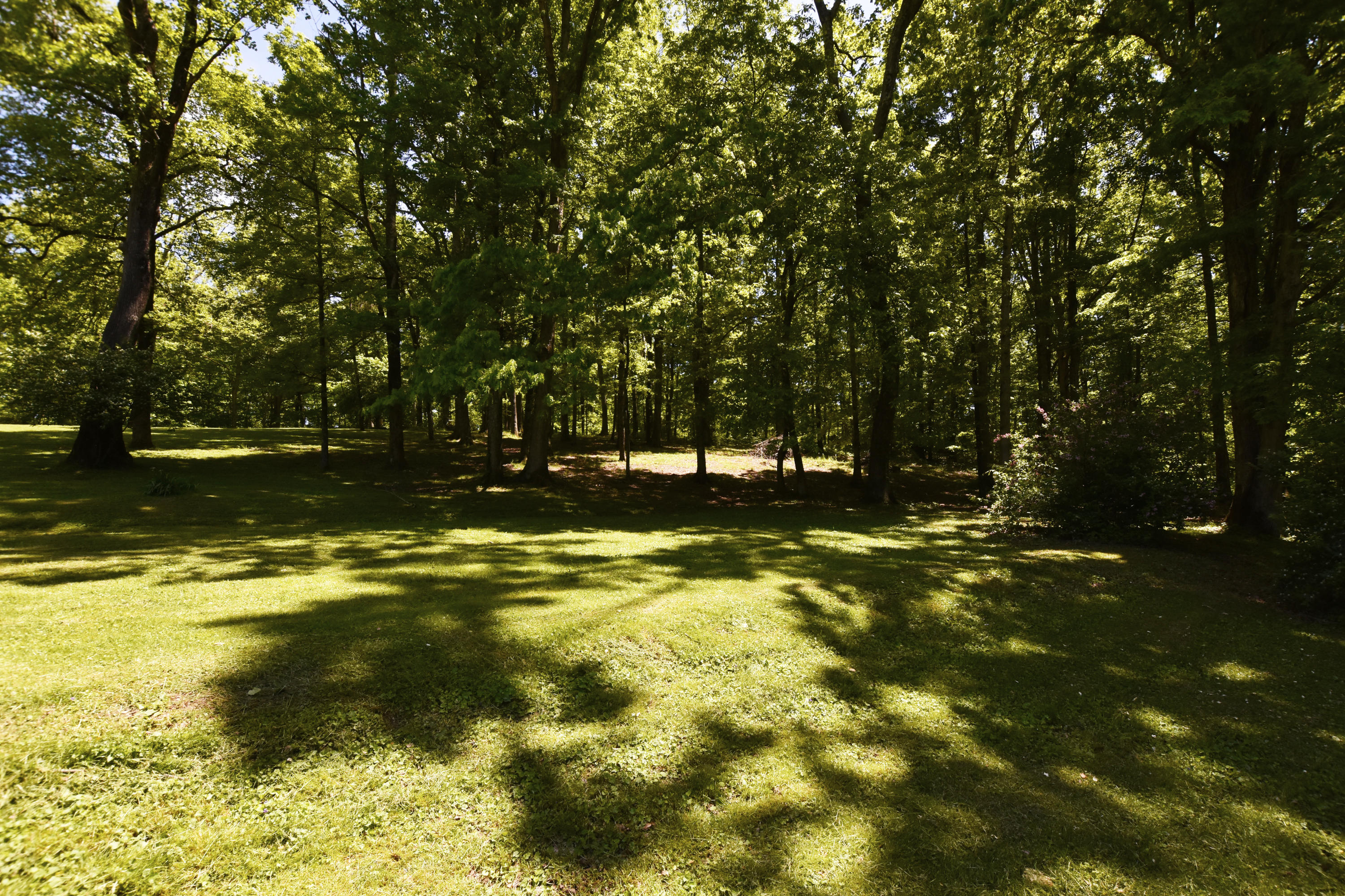70 Robins Road Ravenna, KY 40472 - Photo 10 of 51 Yard!