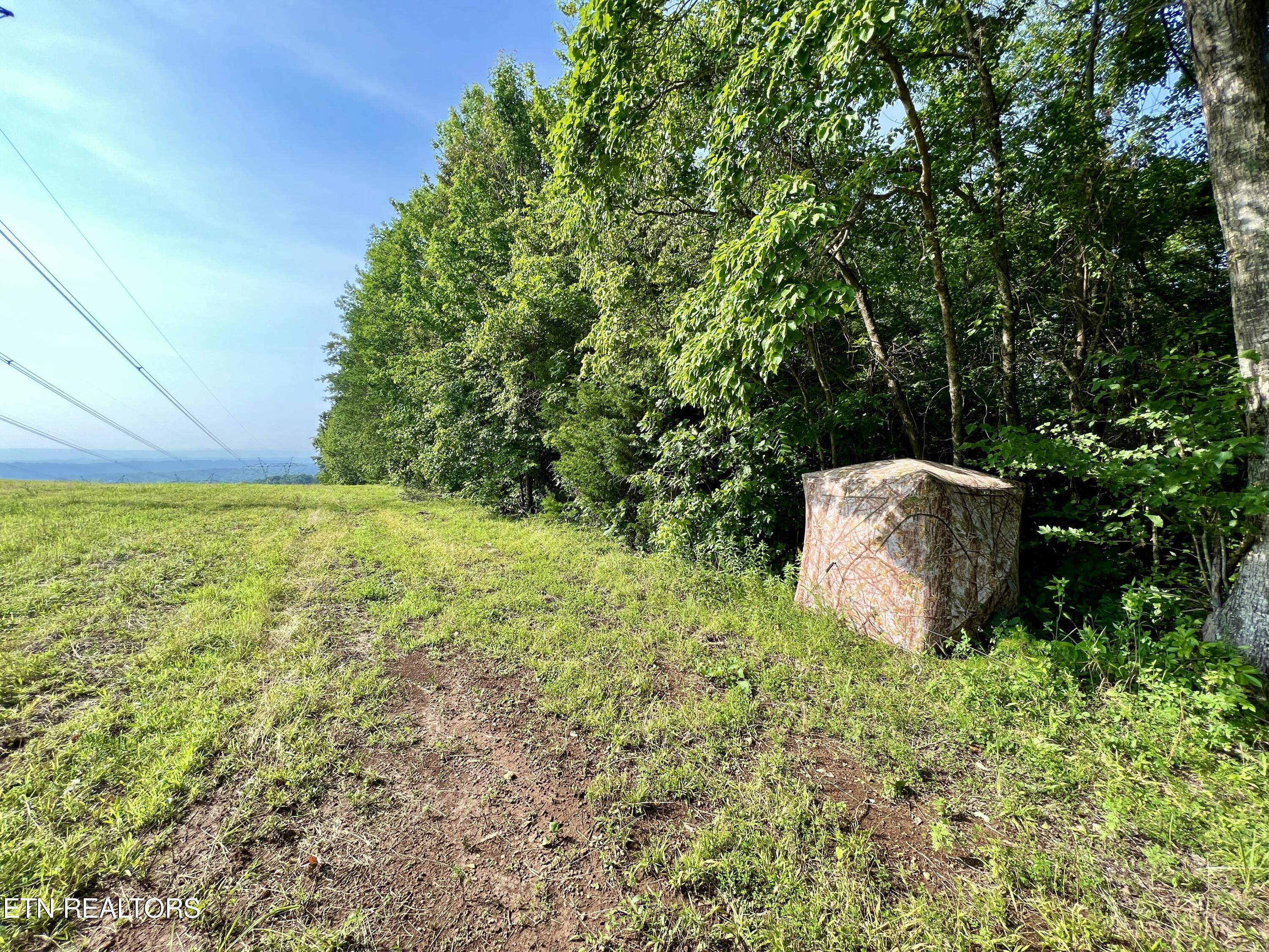 Ridge Road Decatur, TN 37322 - Photo 12 of 60 12