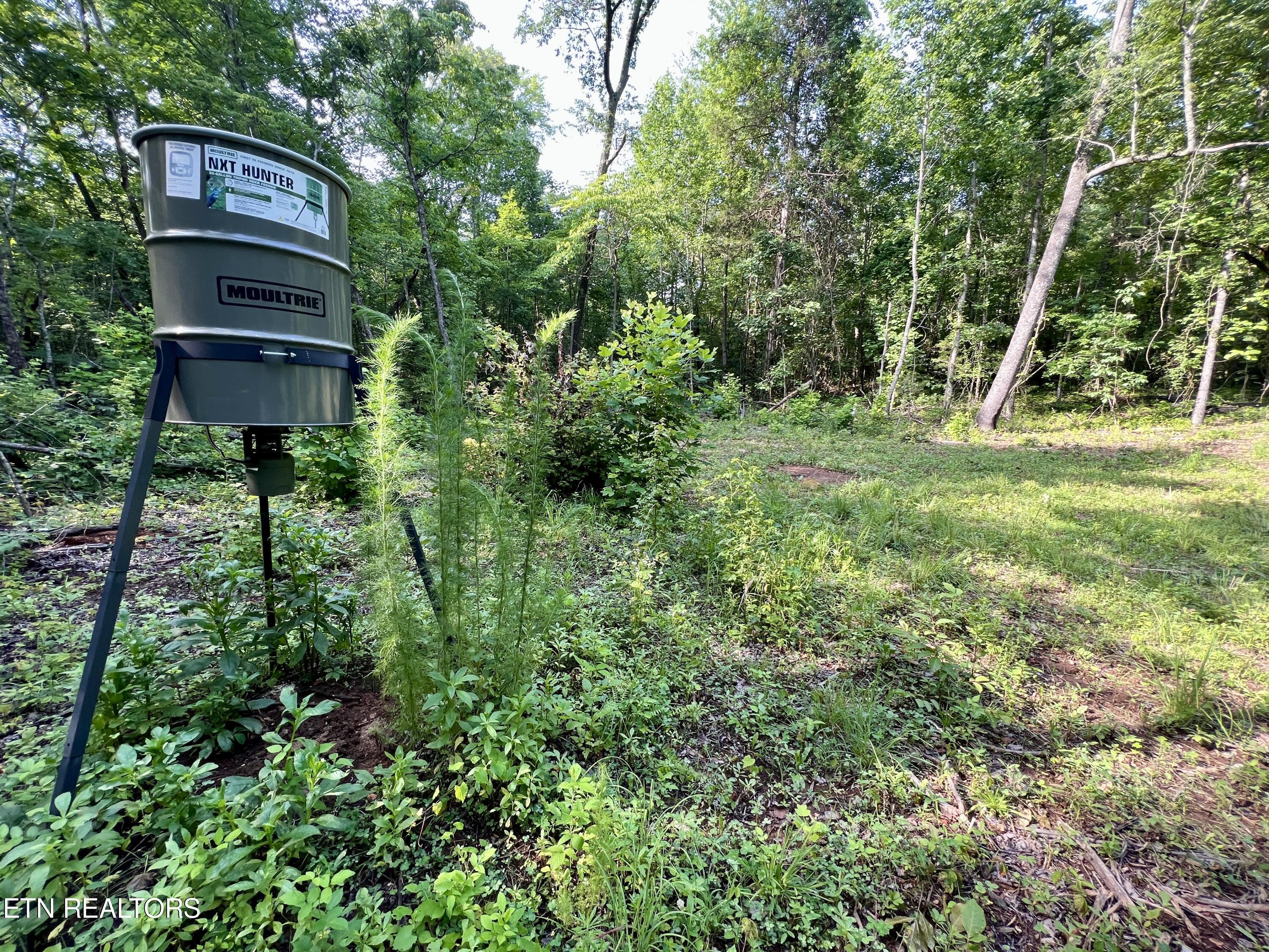 Ridge Road Decatur, TN 37322 - Photo 13 of 60 13