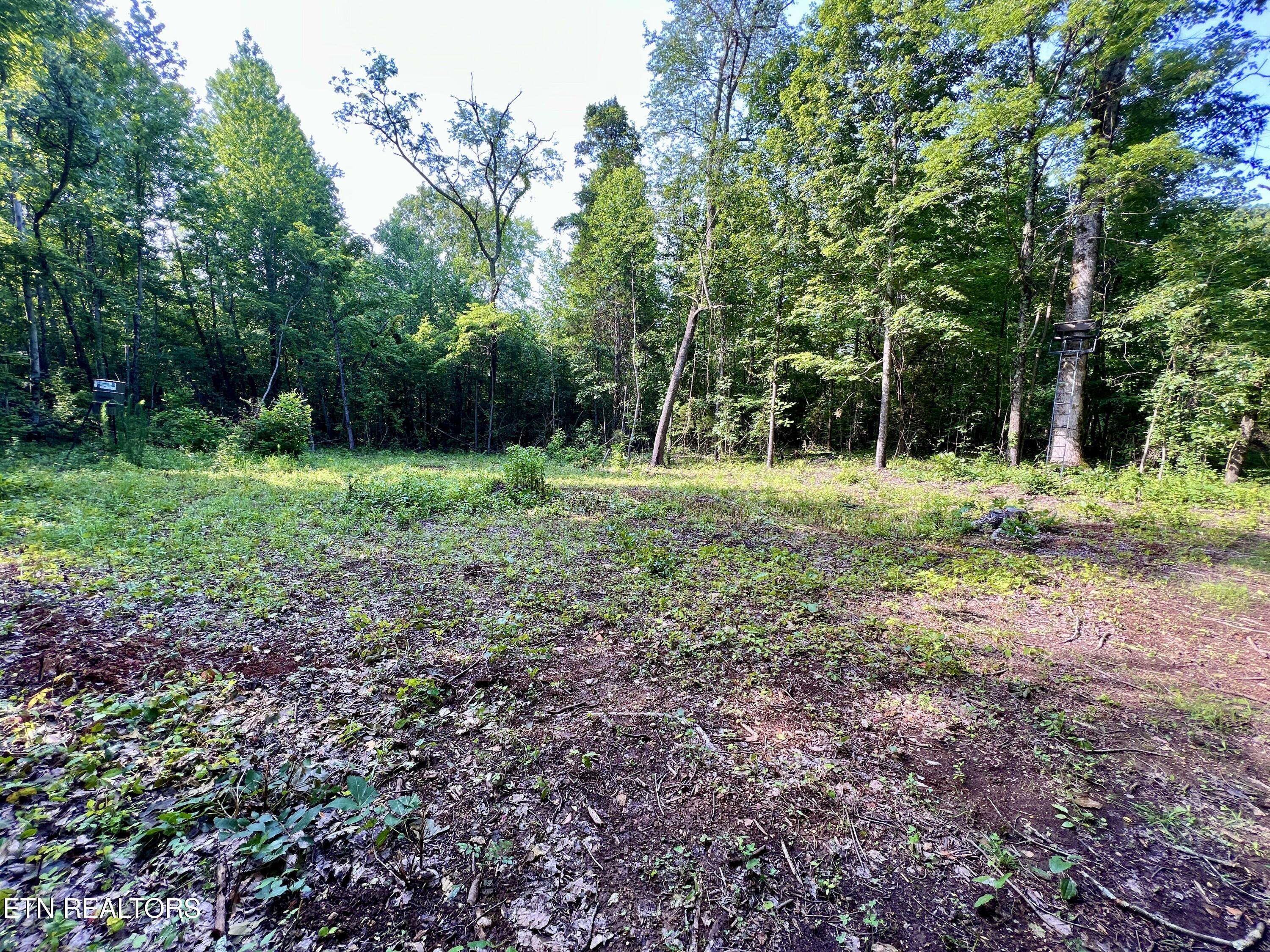 Ridge Road Decatur, TN 37322 - Photo 14 of 60 14