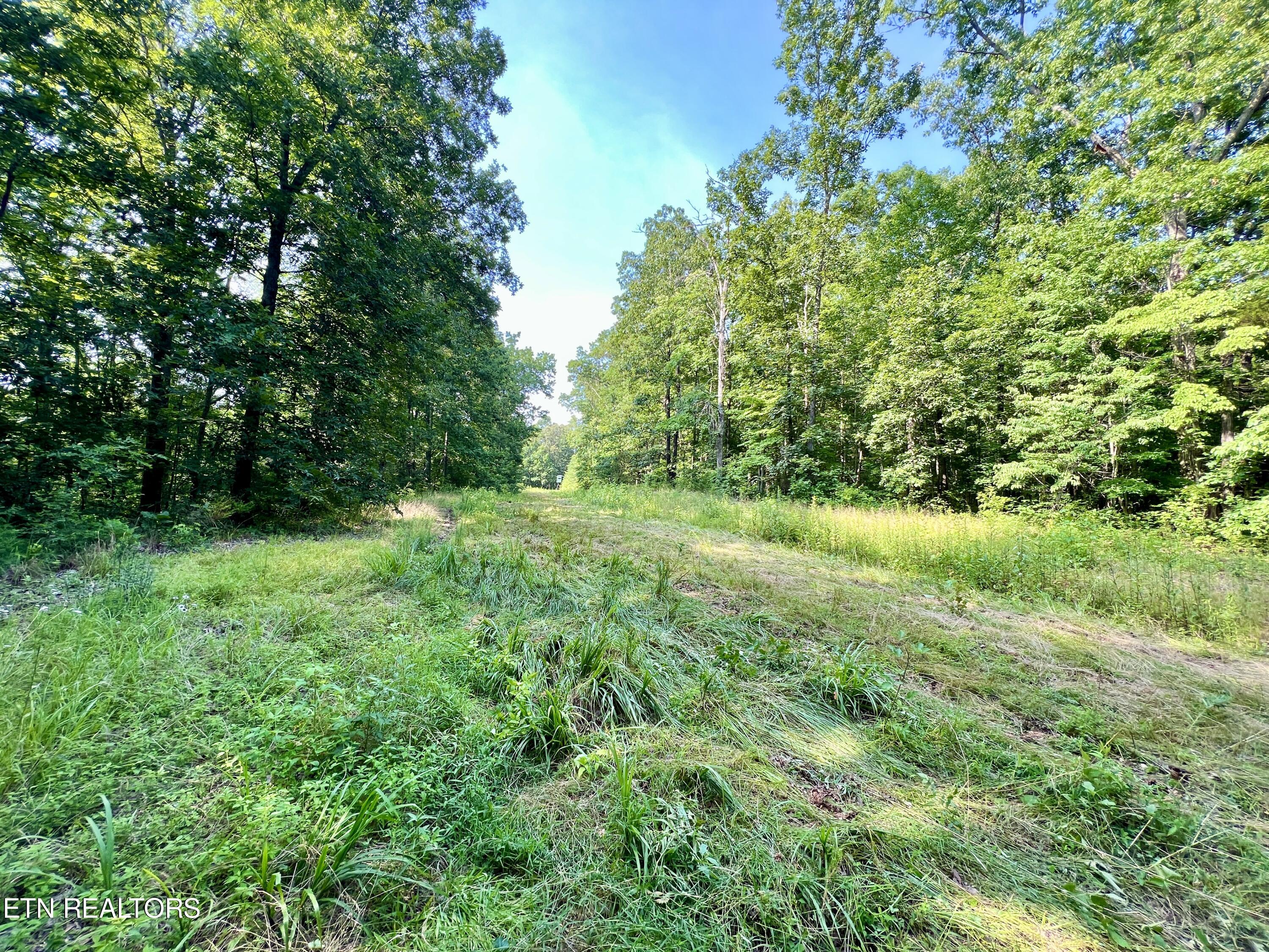 Ridge Road Decatur, TN 37322 - Photo 16 of 60 16