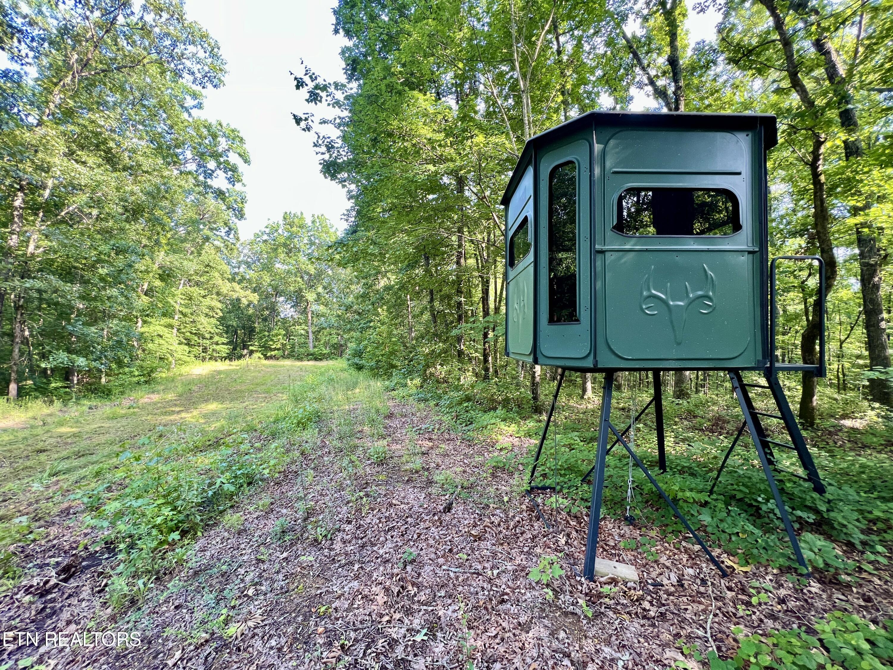 Ridge Road Decatur, TN 37322 - Photo 17 of 60 17