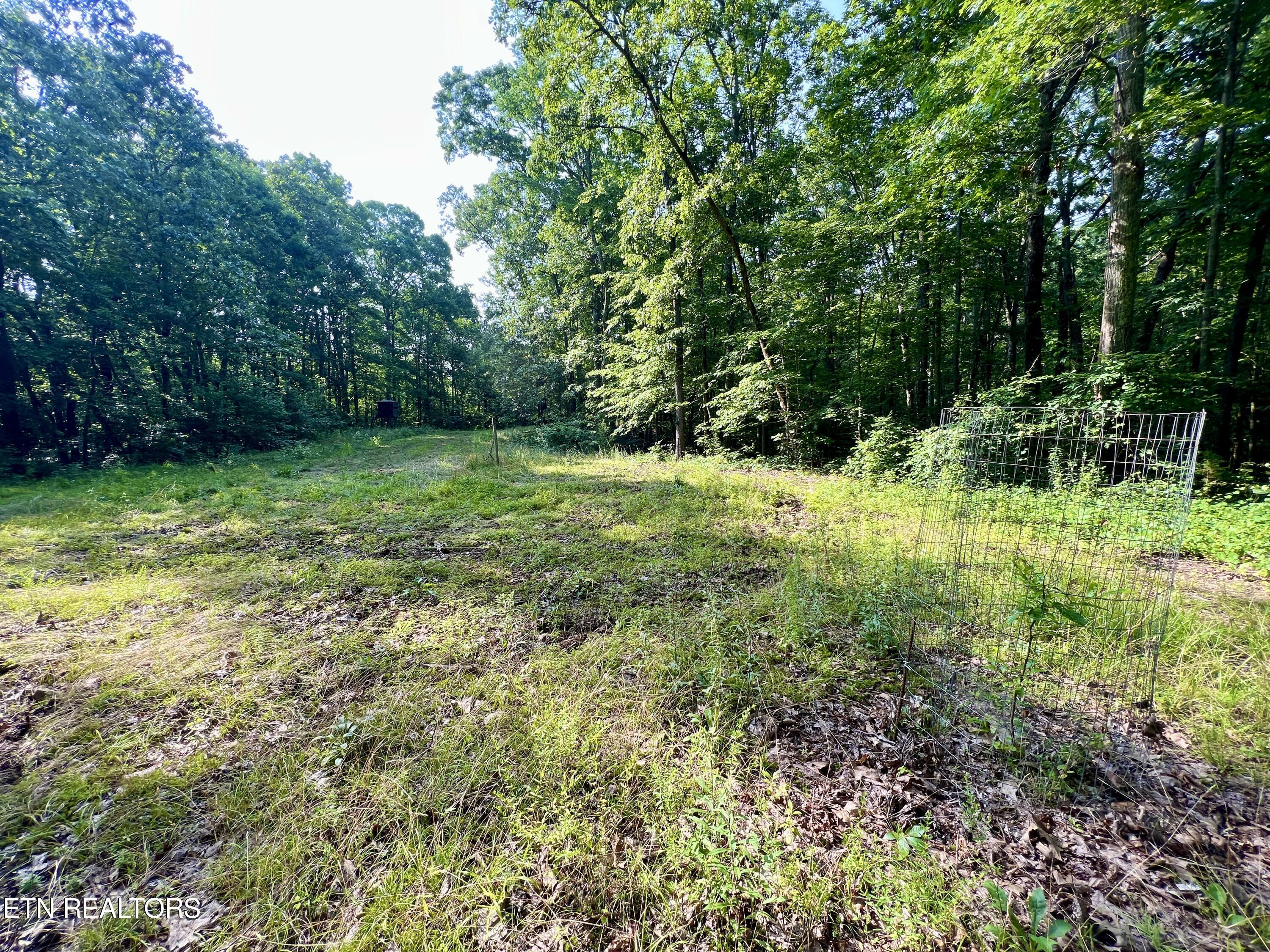 Ridge Road Decatur, TN 37322 - Photo 18 of 60 18