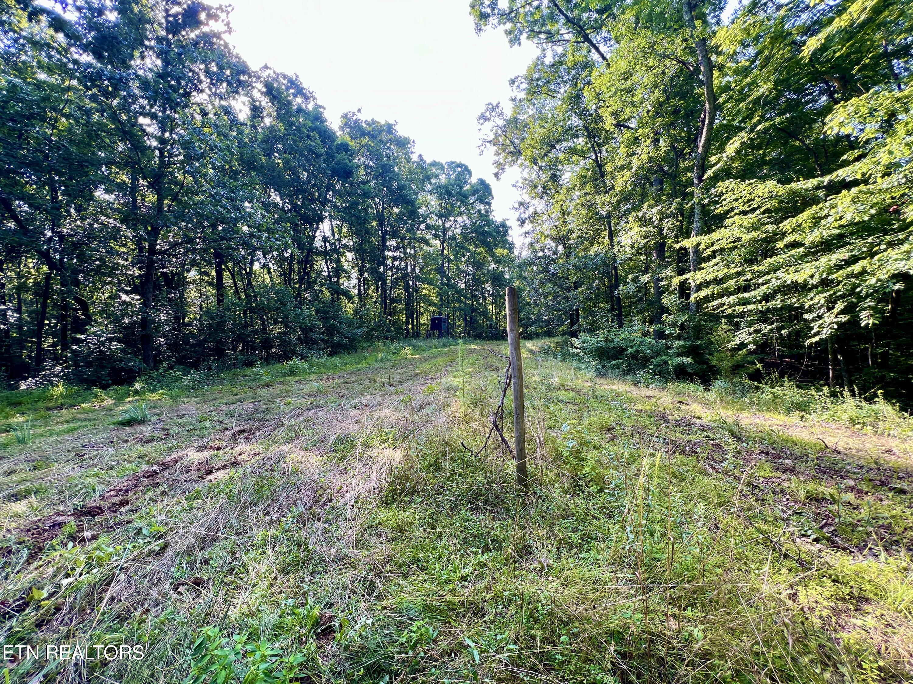 Ridge Road Decatur, TN 37322 - Photo 20 of 60 20