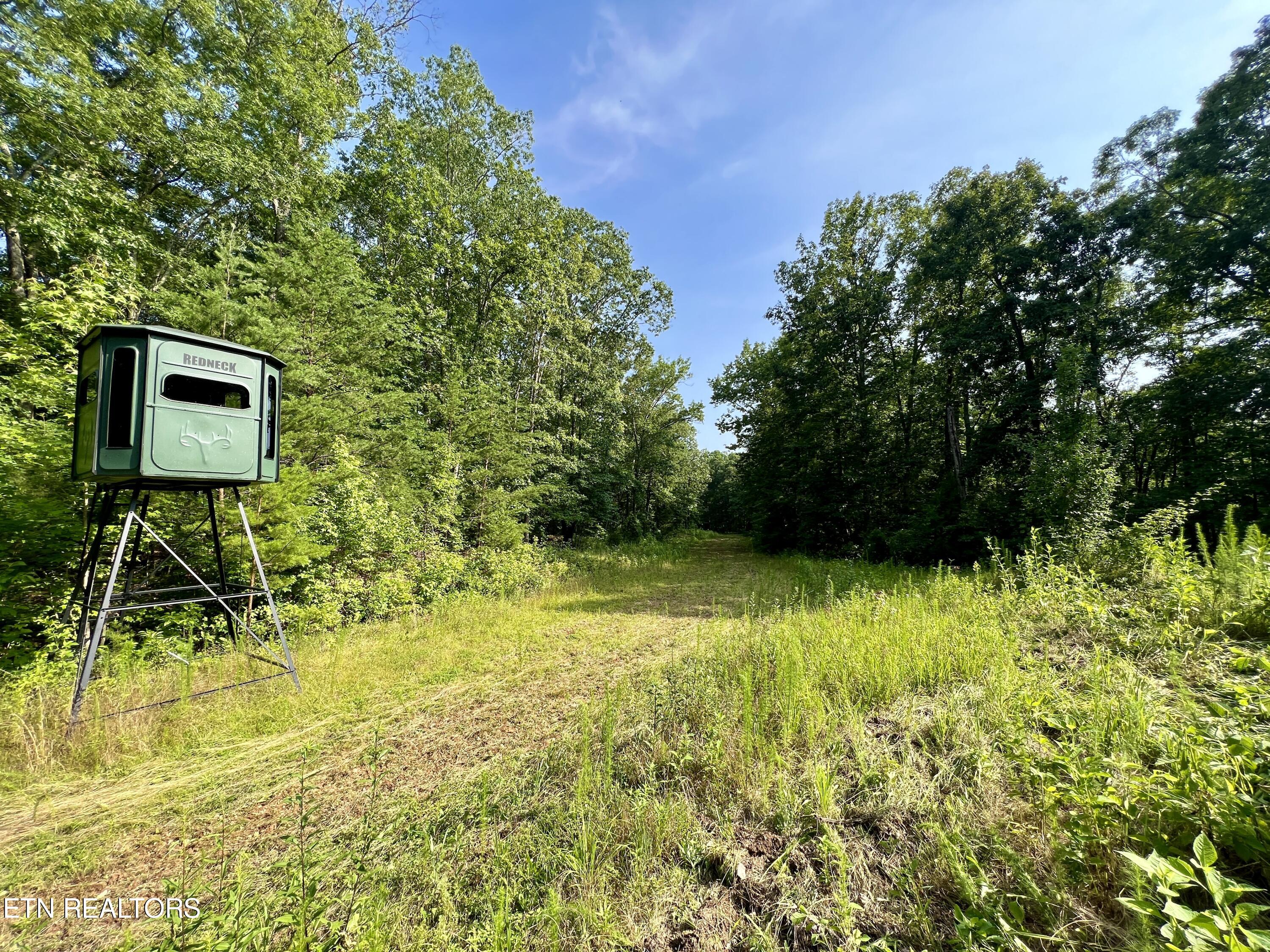 Ridge Road Decatur, TN 37322 - Photo 2 of 60 2