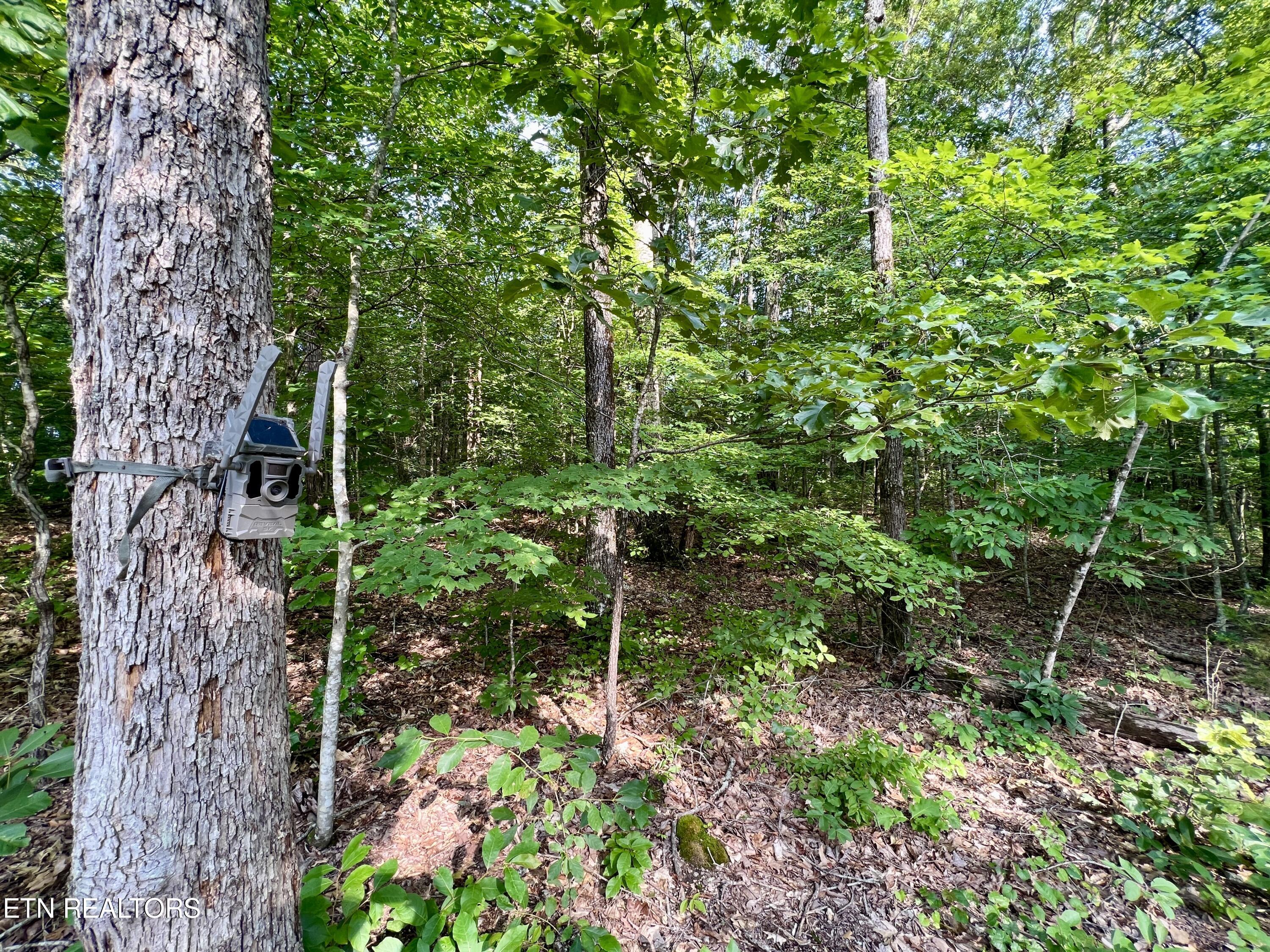 Ridge Road Decatur, TN 37322 - Photo 23 of 60 23