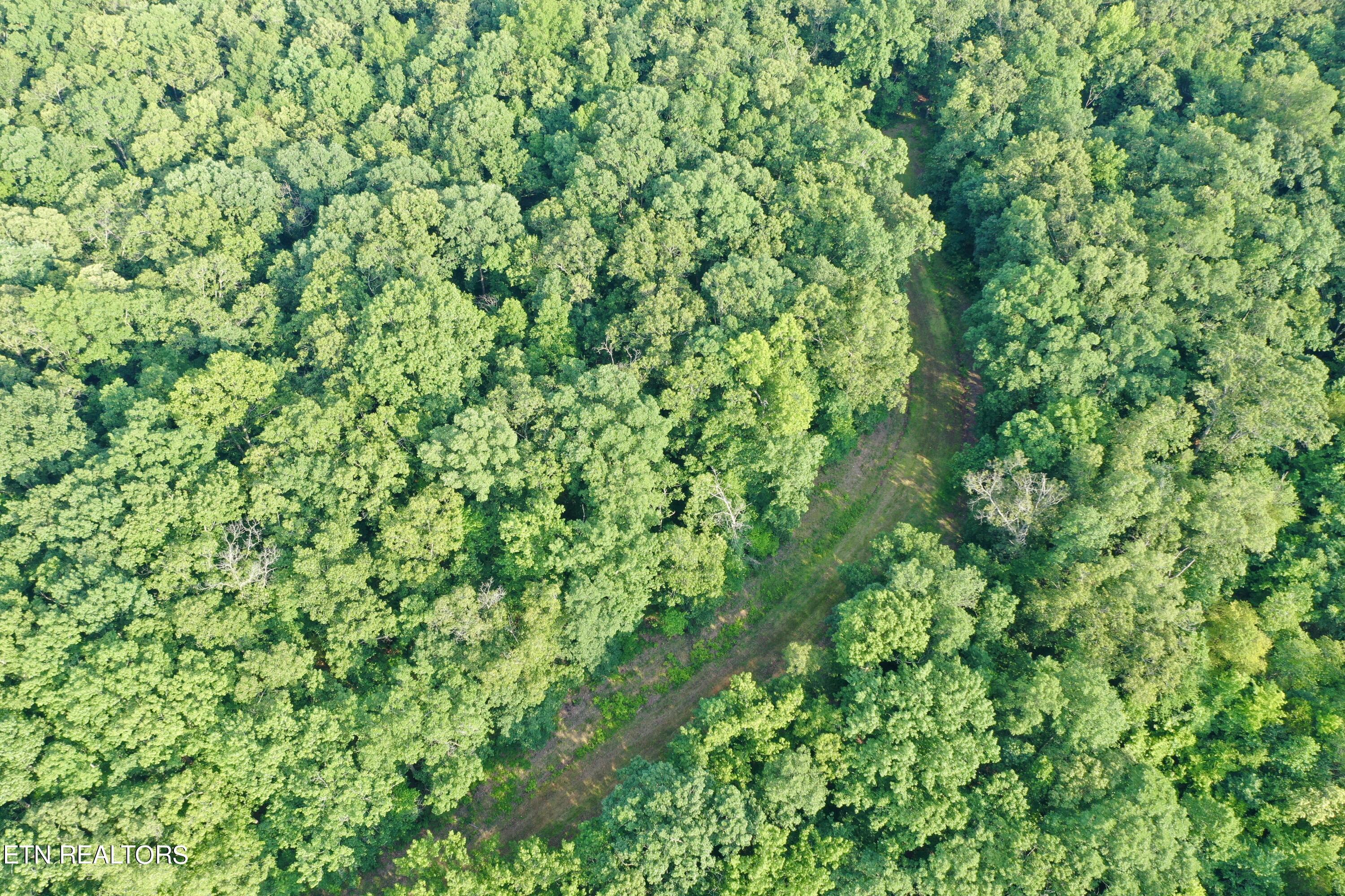 Ridge Road Decatur, TN 37322 - Photo 25 of 60 26