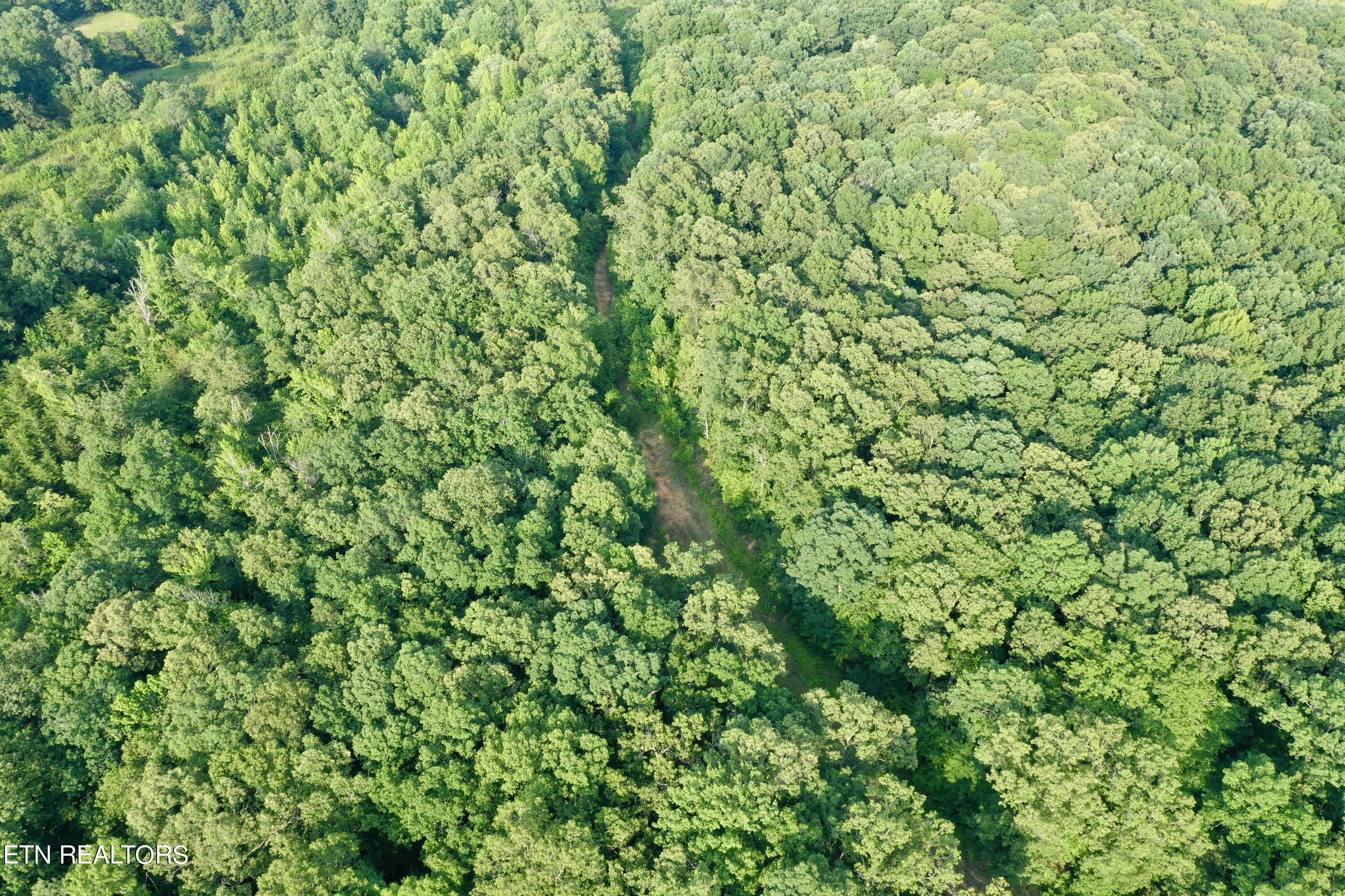 Ridge Road Decatur, TN 37322 - Photo 26 of 60 27