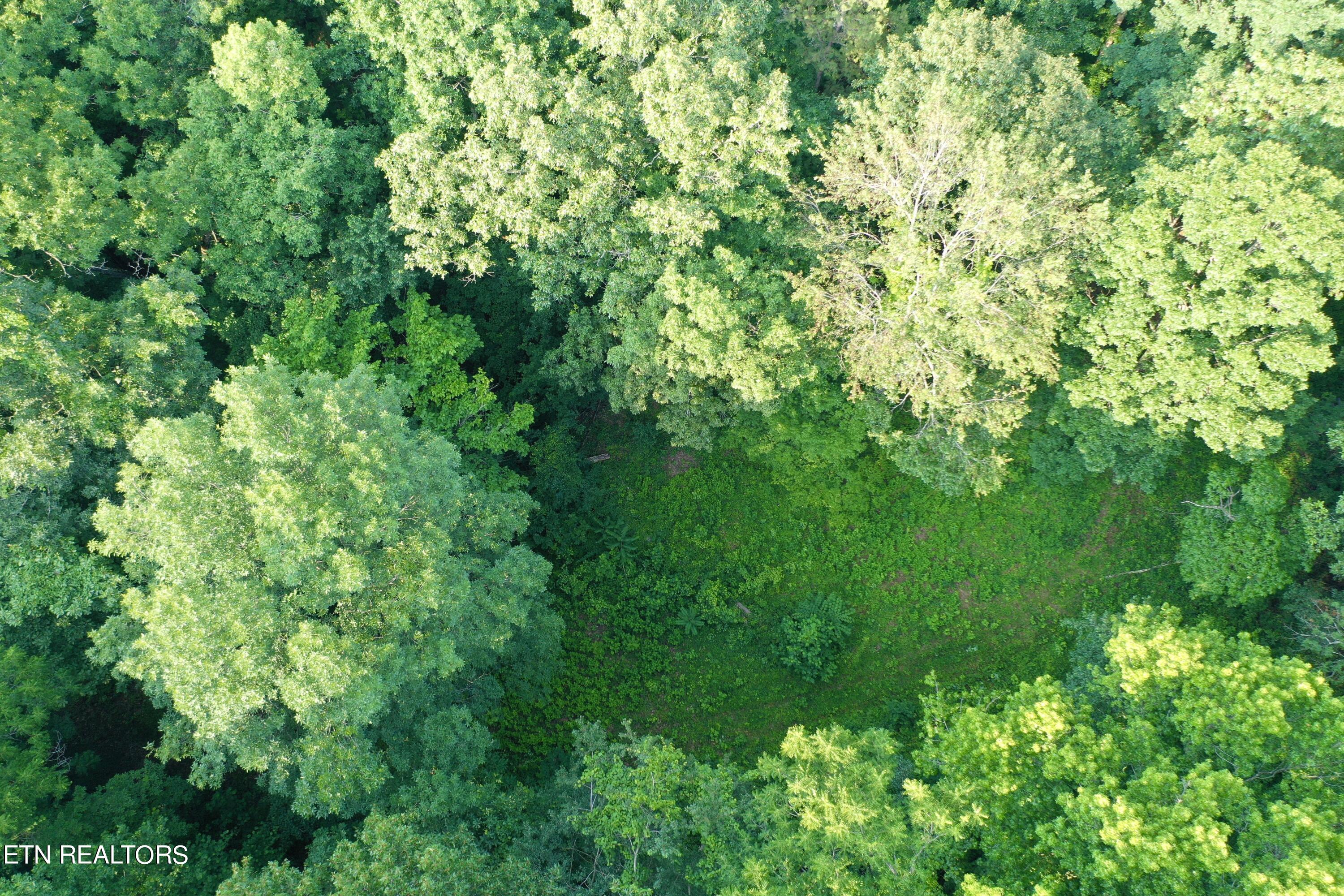 Ridge Road Decatur, TN 37322 - Photo 27 of 60 28