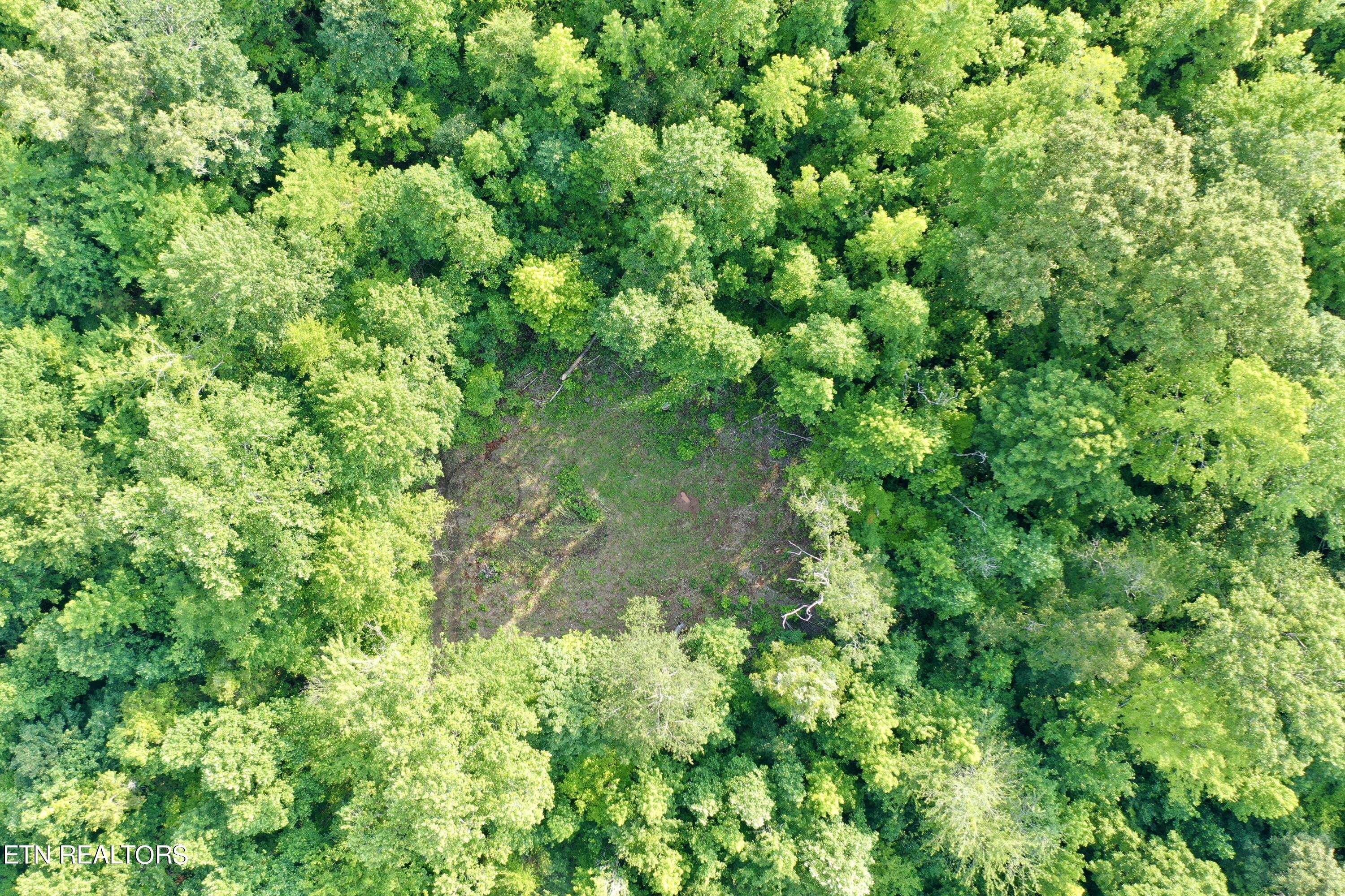 Ridge Road Decatur, TN 37322 - Photo 28 of 60 29