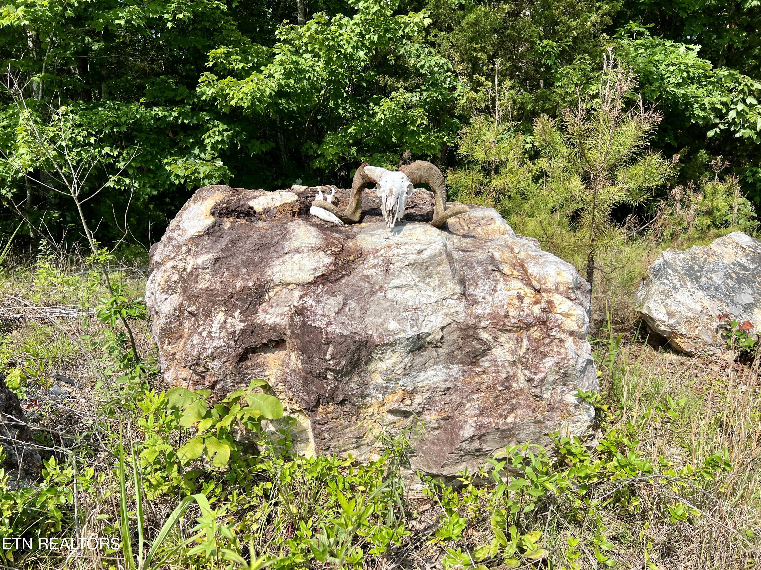 Ridge Road Decatur, TN 37322 - Photo 29 of 60 30