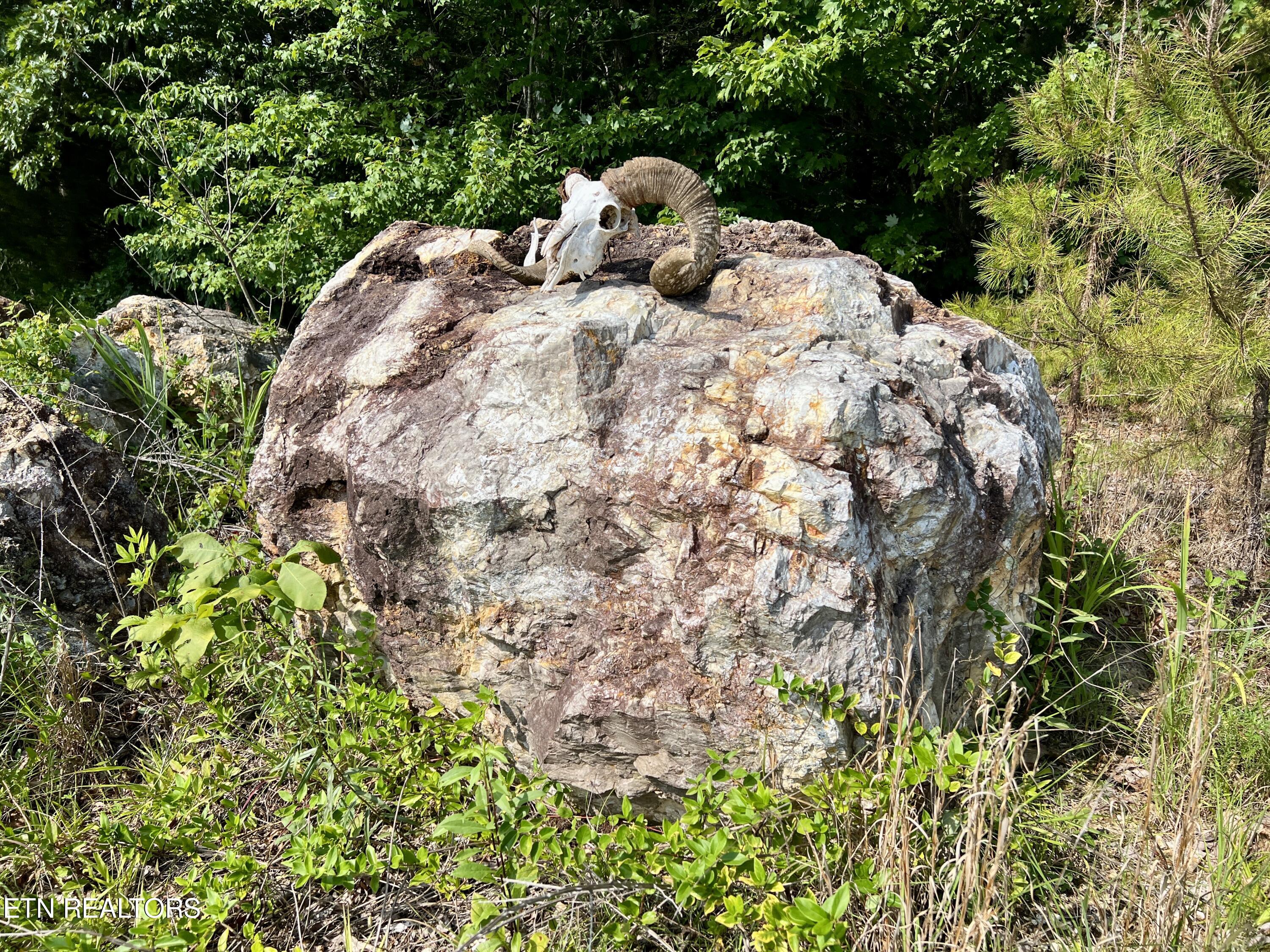 Ridge Road Decatur, TN 37322 - Photo 30 of 60 31