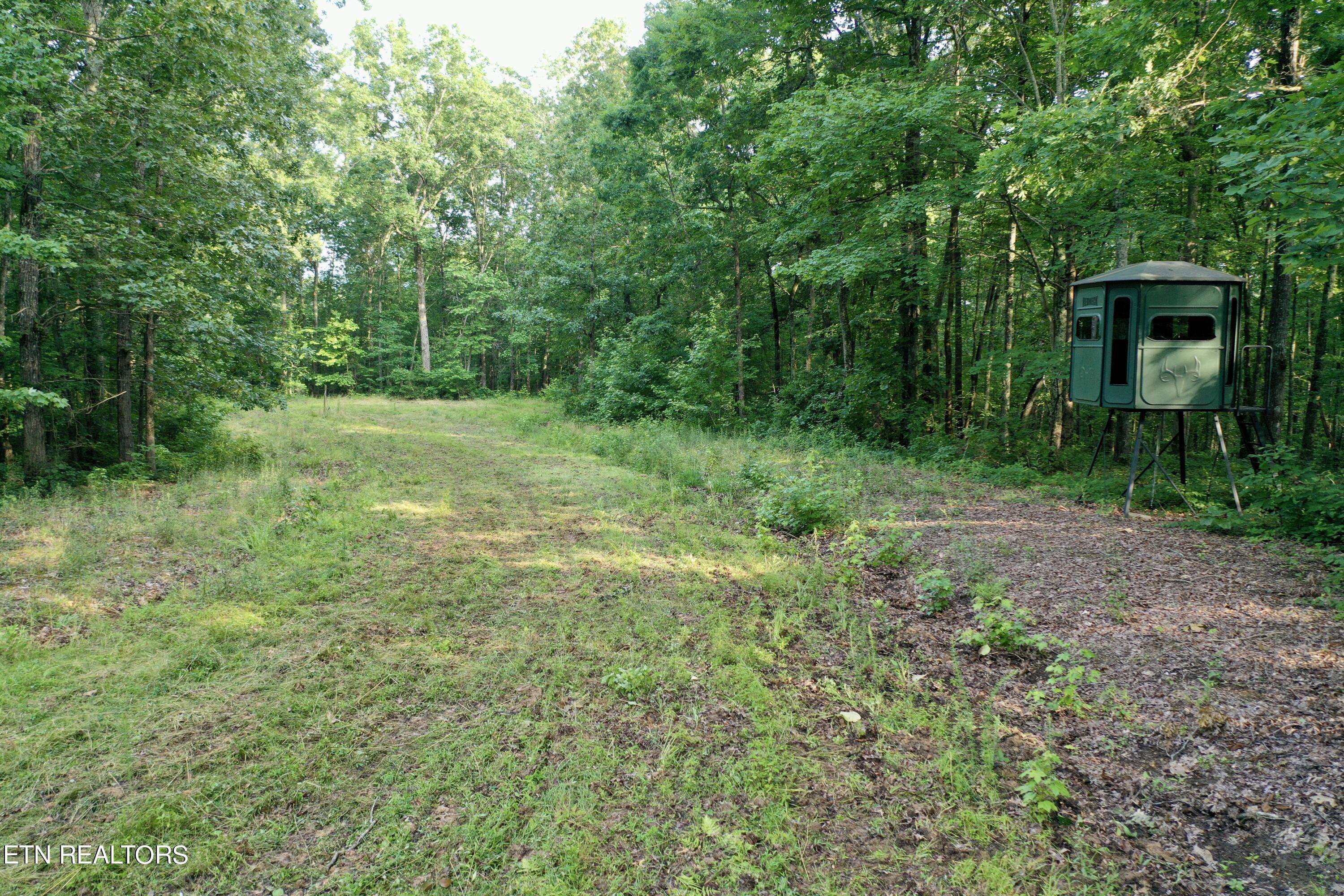 Ridge Road Decatur, TN 37322 - Photo 3 of 60 3