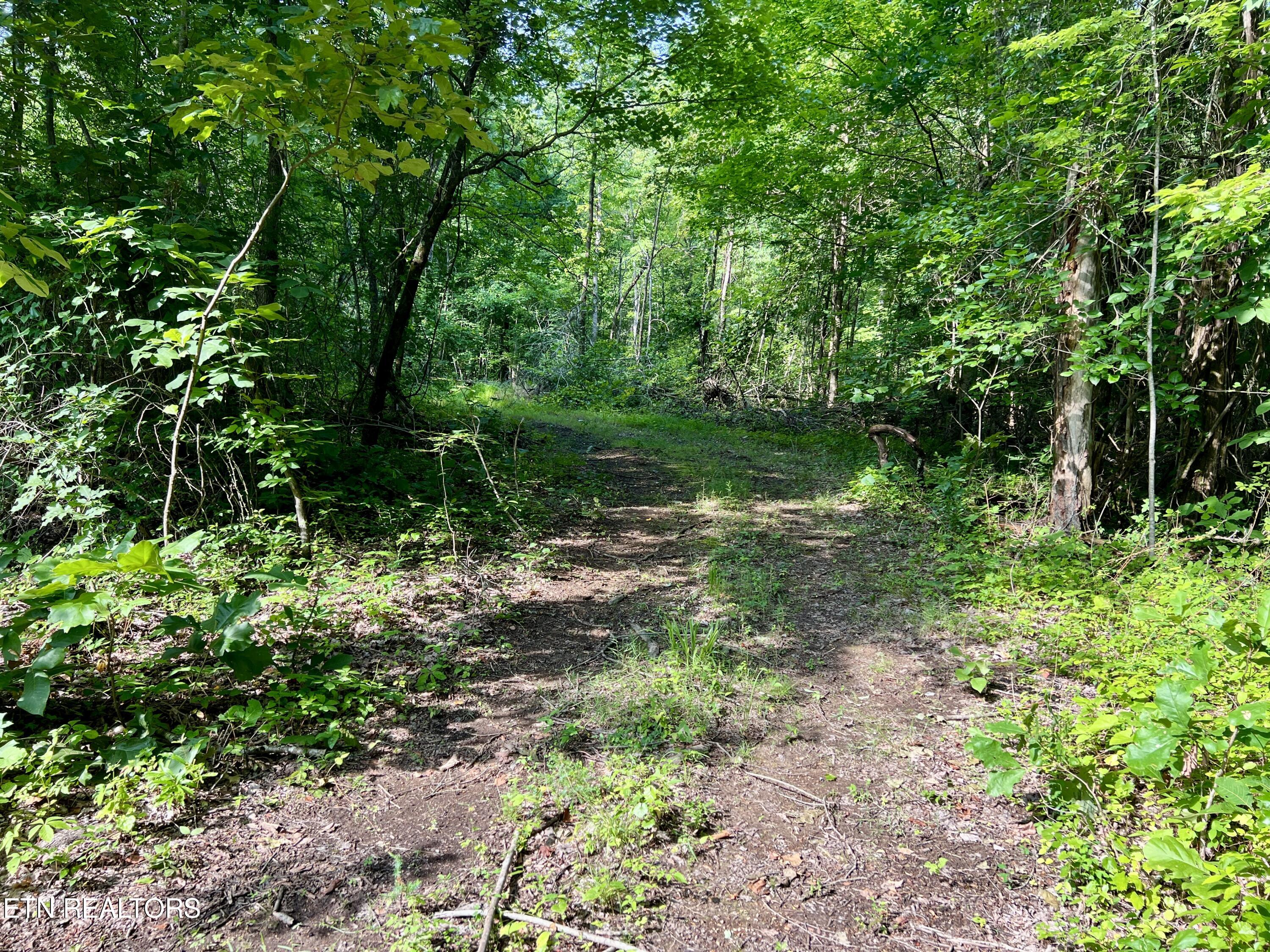 Ridge Road Decatur, TN 37322 - Photo 31 of 60 32