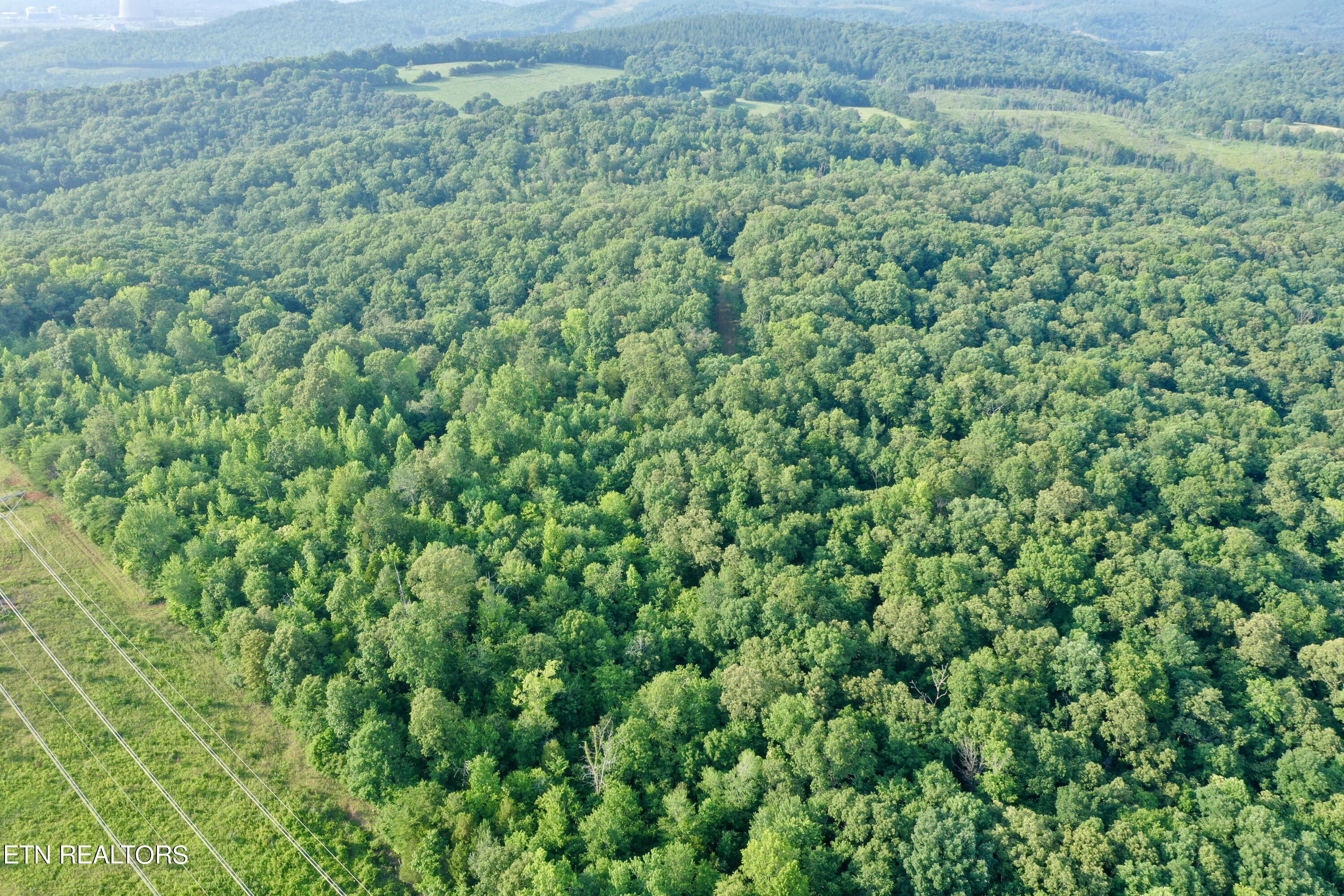 Ridge Road Decatur, TN 37322 - Photo 36 of 60 DJI_0078