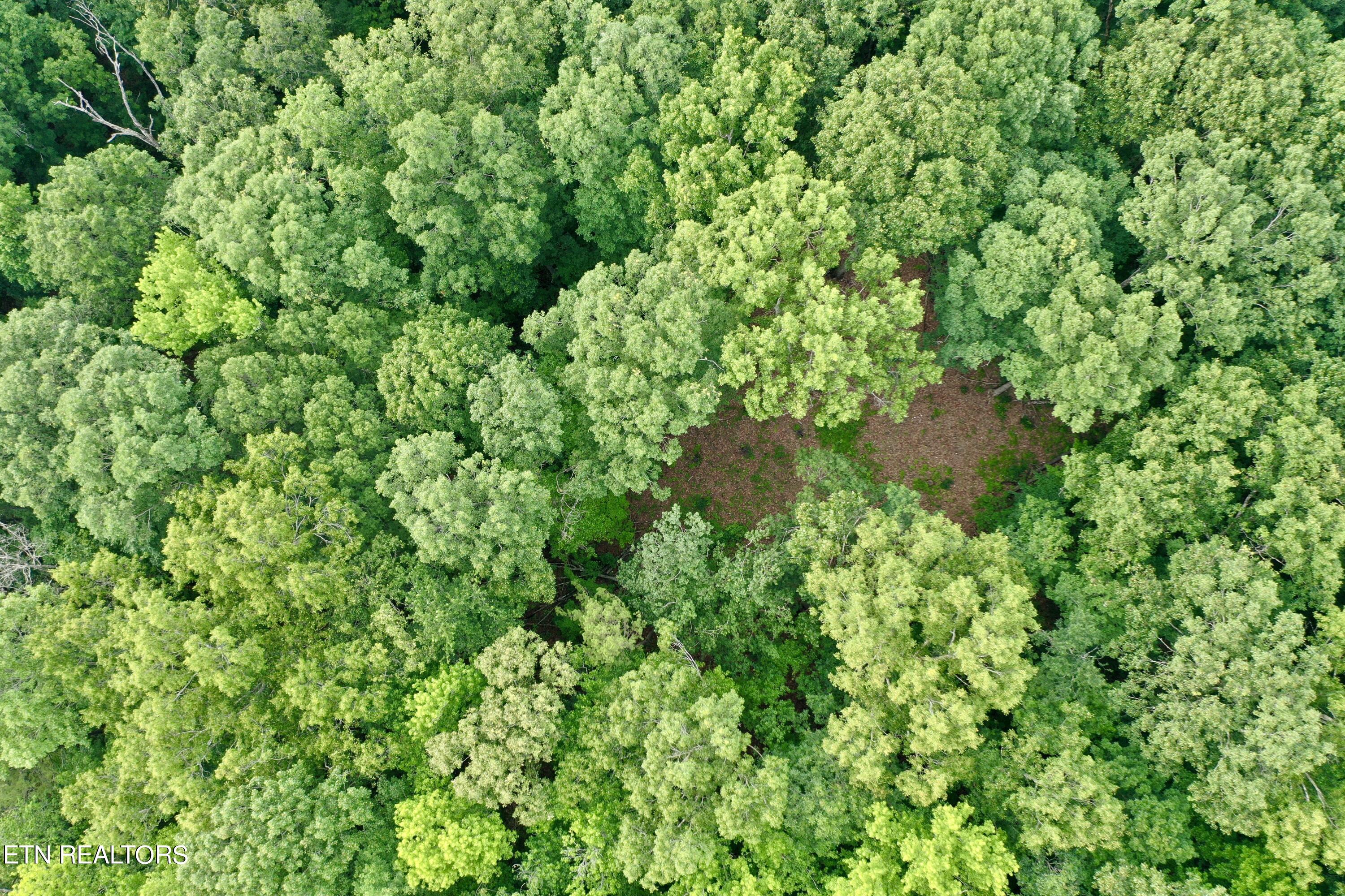 Ridge Road Decatur, TN 37322 - Photo 40 of 60 DJI_0099