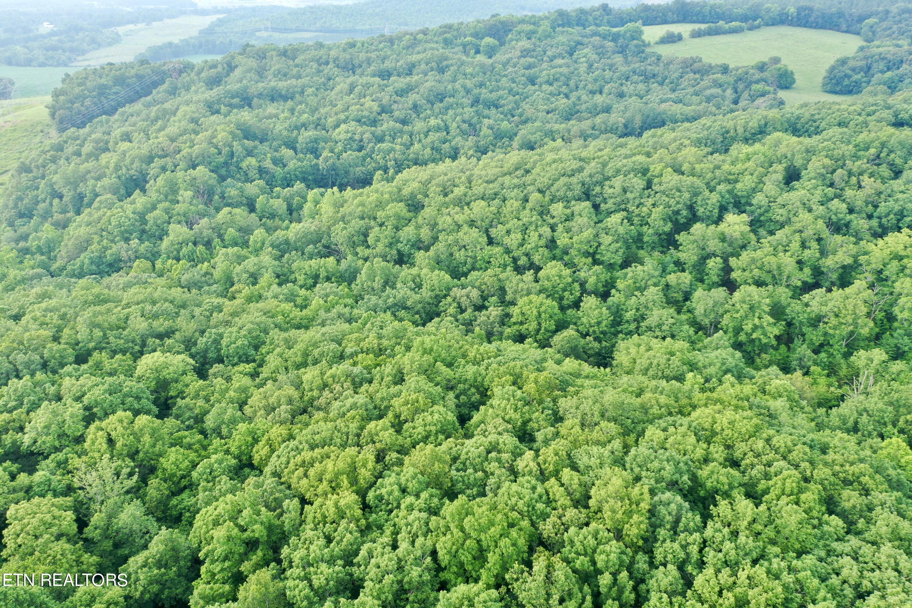 Ridge Road Decatur, TN 37322 - Photo 41 of 60 DJI_0100